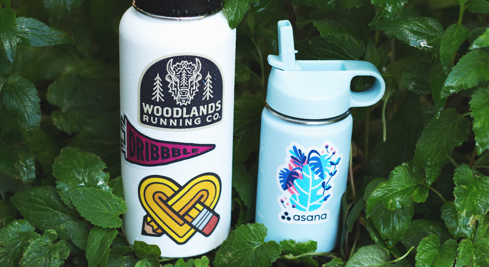 Water Bottle Stickers