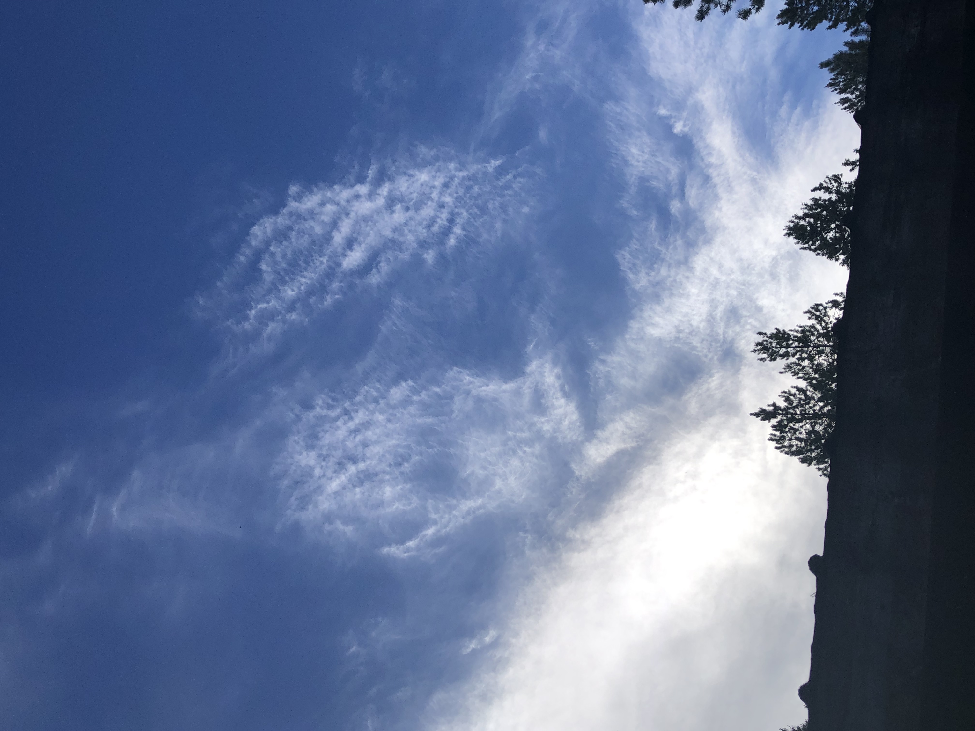 The god of wind