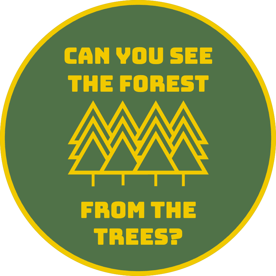 forest from the trees