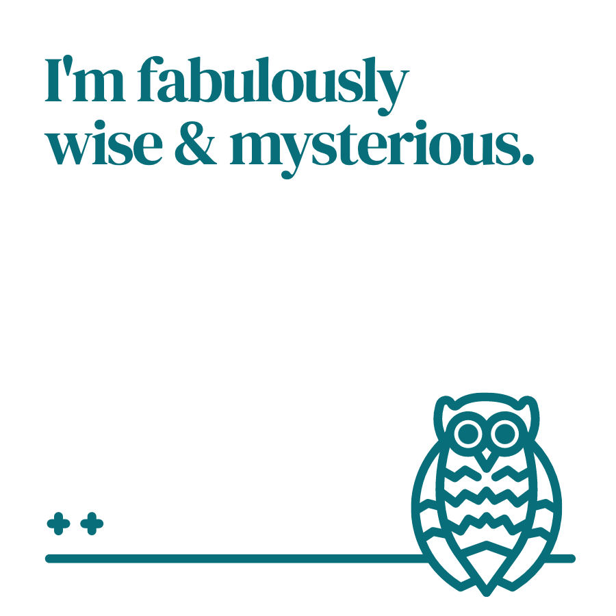 owl tote