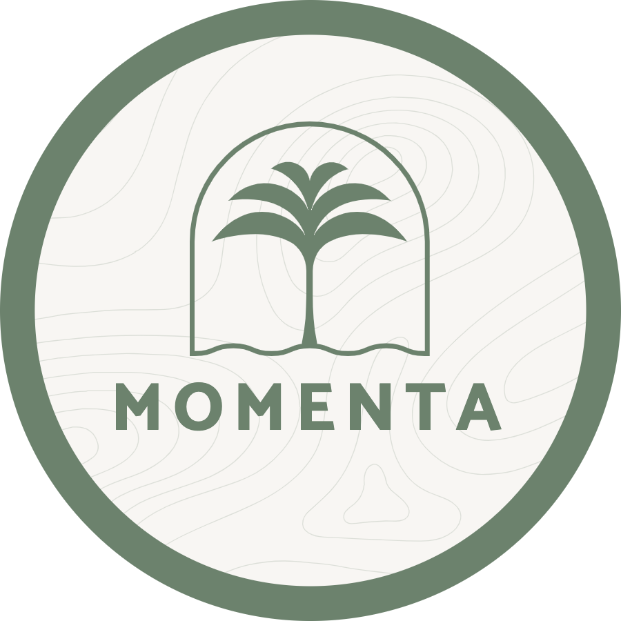Momenta Resort & Spa - Coaster