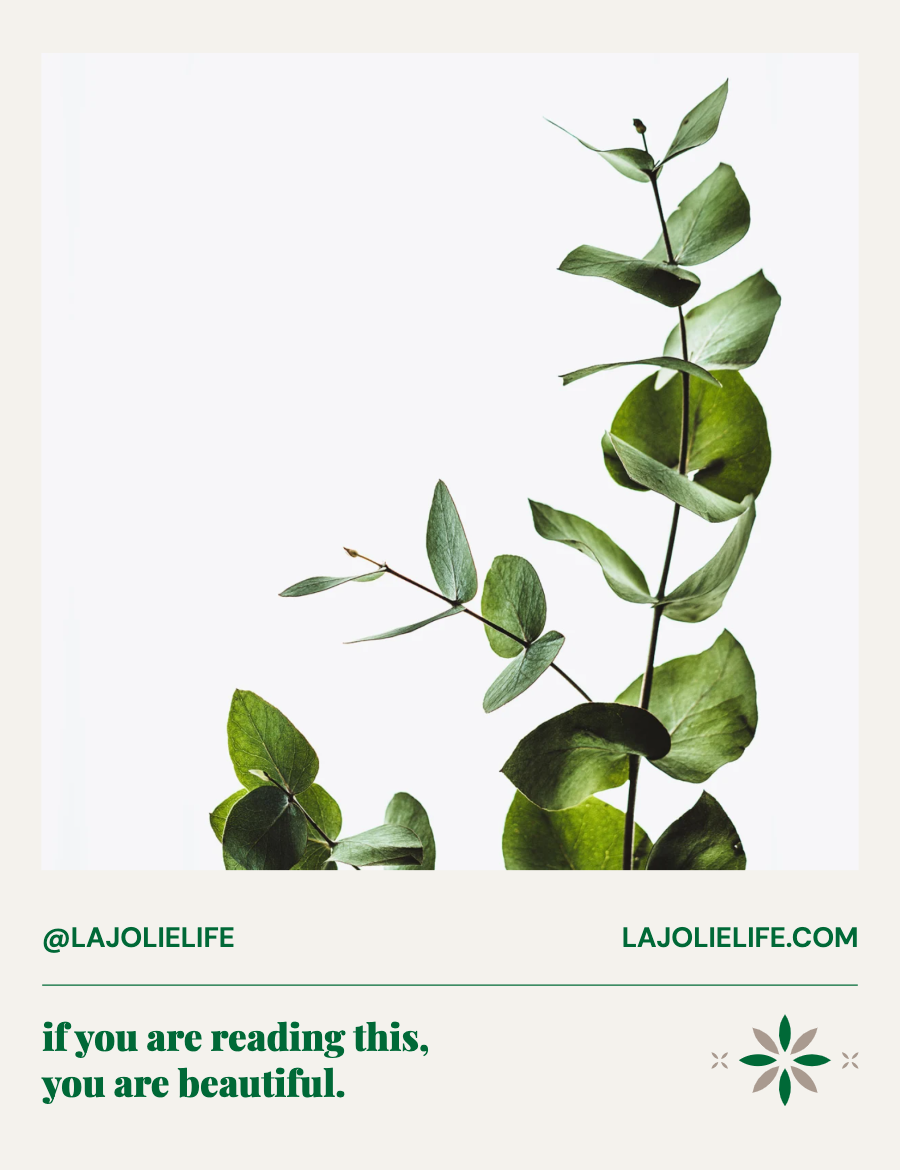 la jolie - mailer