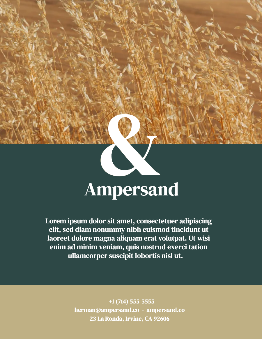ampersand business flyer
