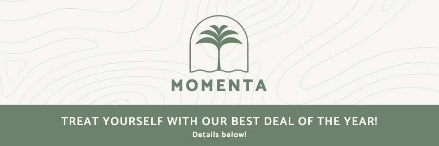 Momenta Resort & Spa - Email header