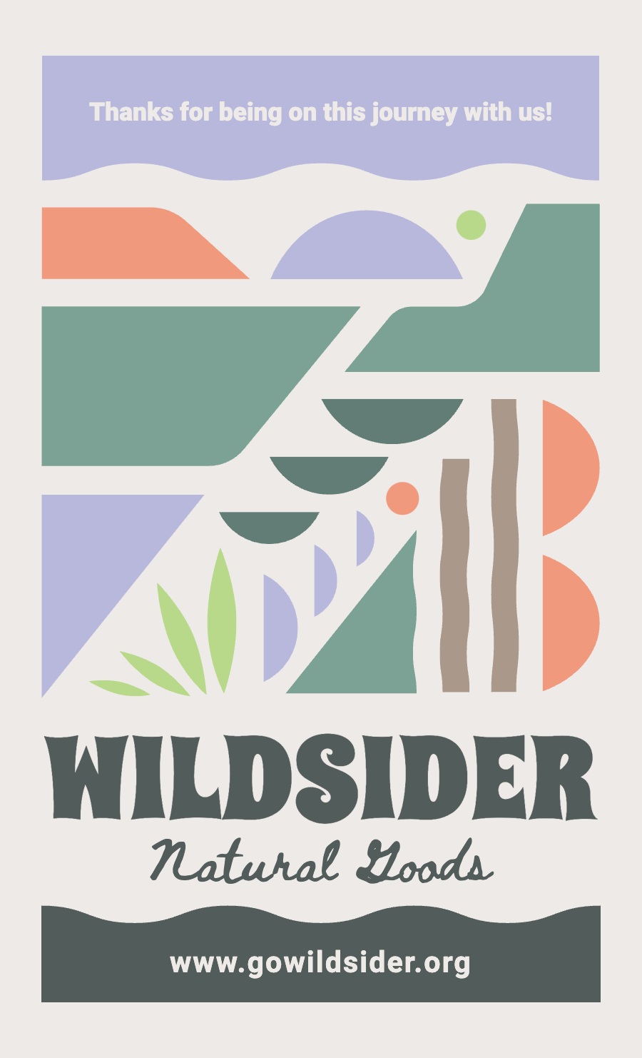 4.25 x 7 bubble mailer - wildsider
