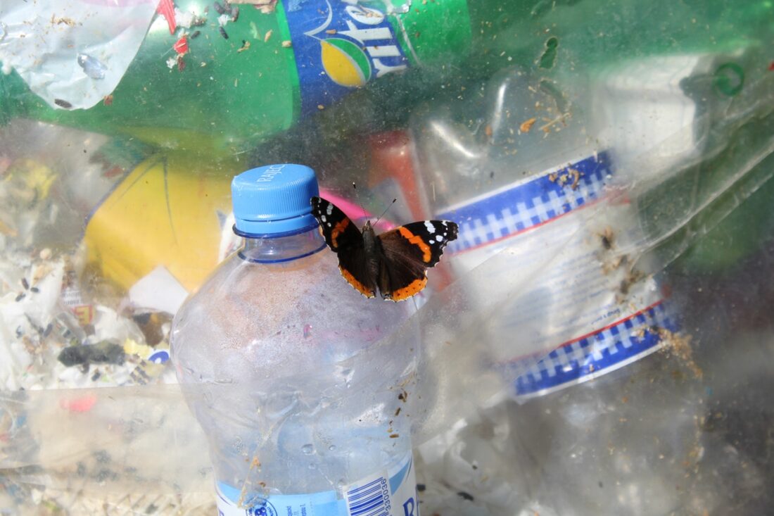 Sommerfugl på plastflasker