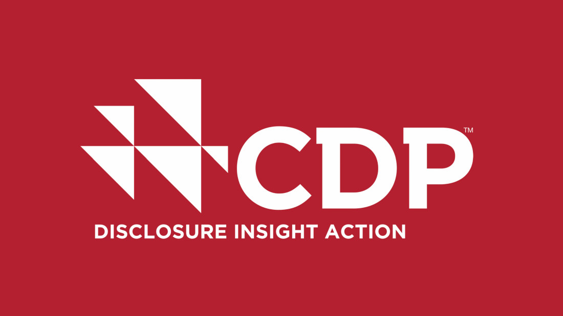 CDP:s Logo.
