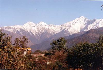 Kangra.jpg