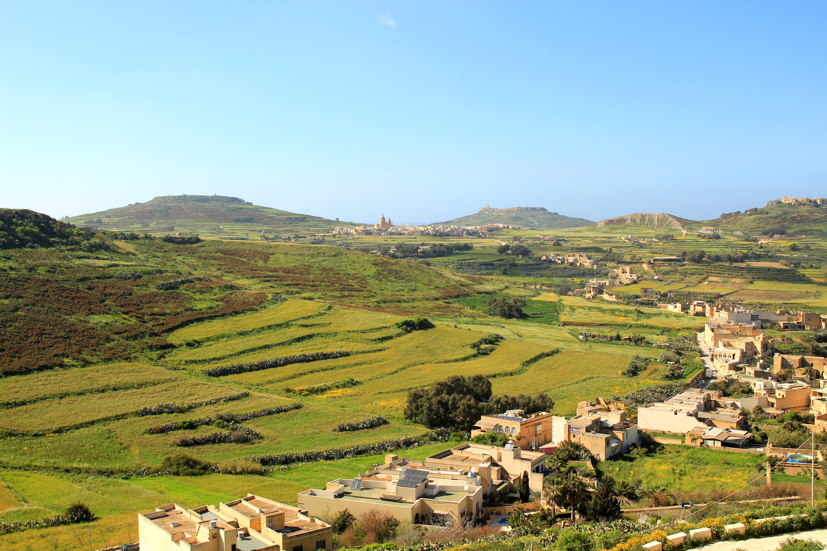 Terraced fields in Gozo, Malta