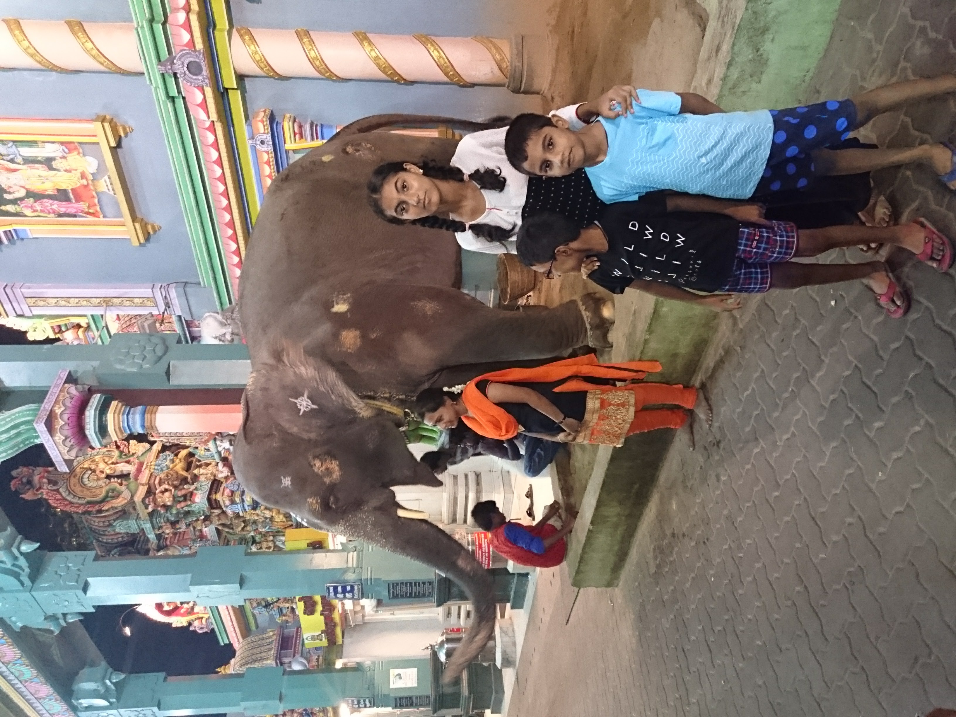 Devotees with Elephant Lakshmi