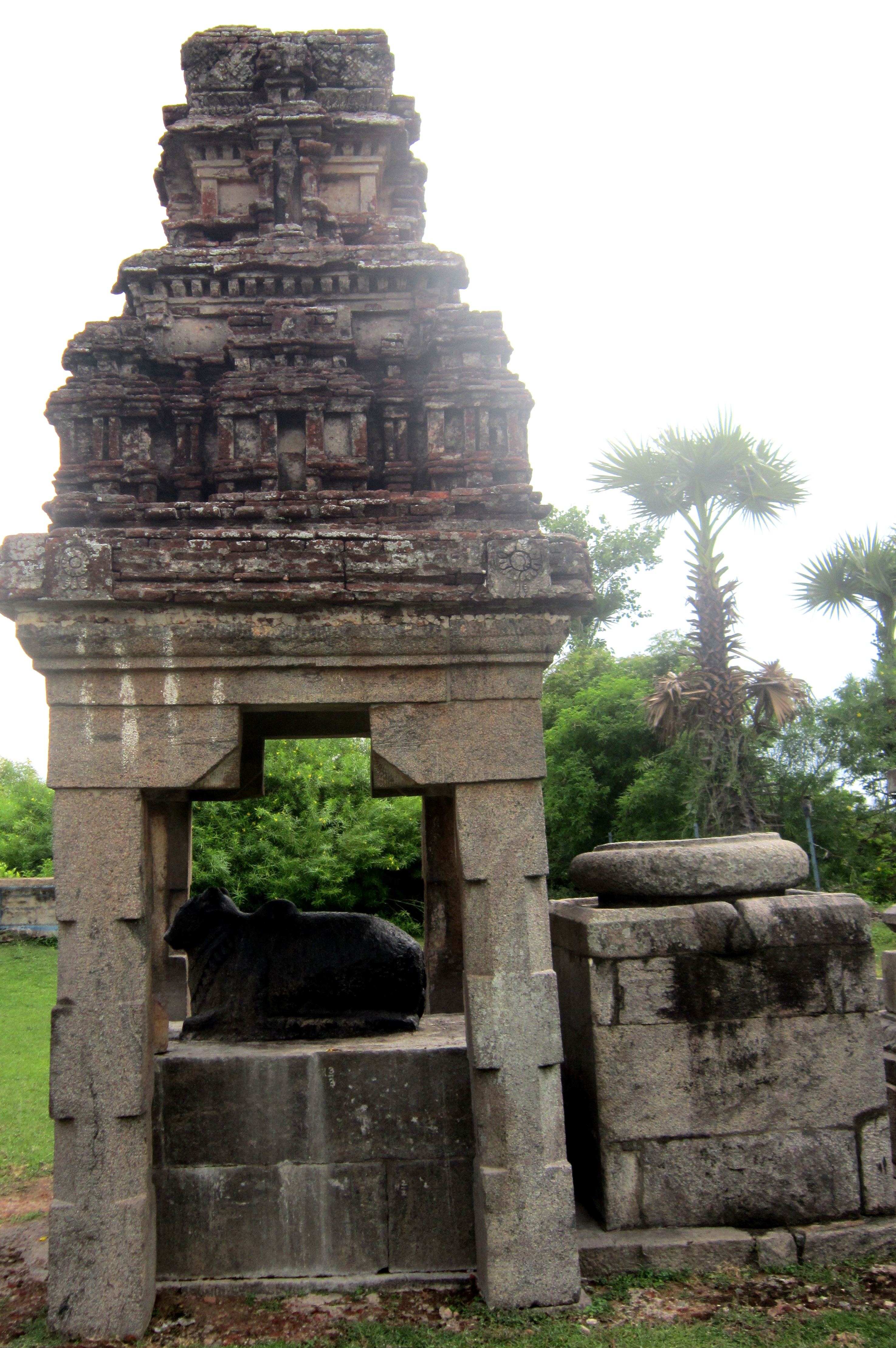 Nandhi