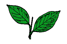Indian Election Symbol Two Leaves.png