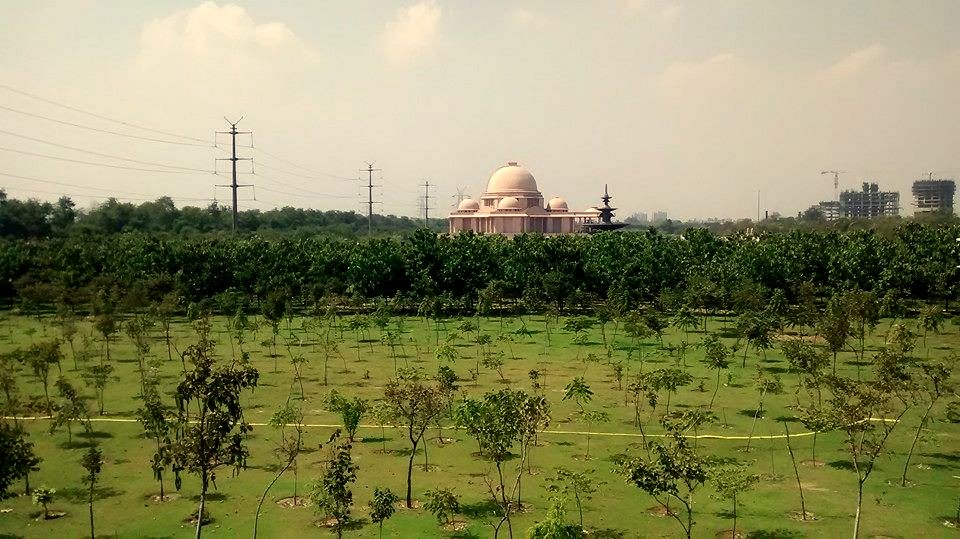 Another View