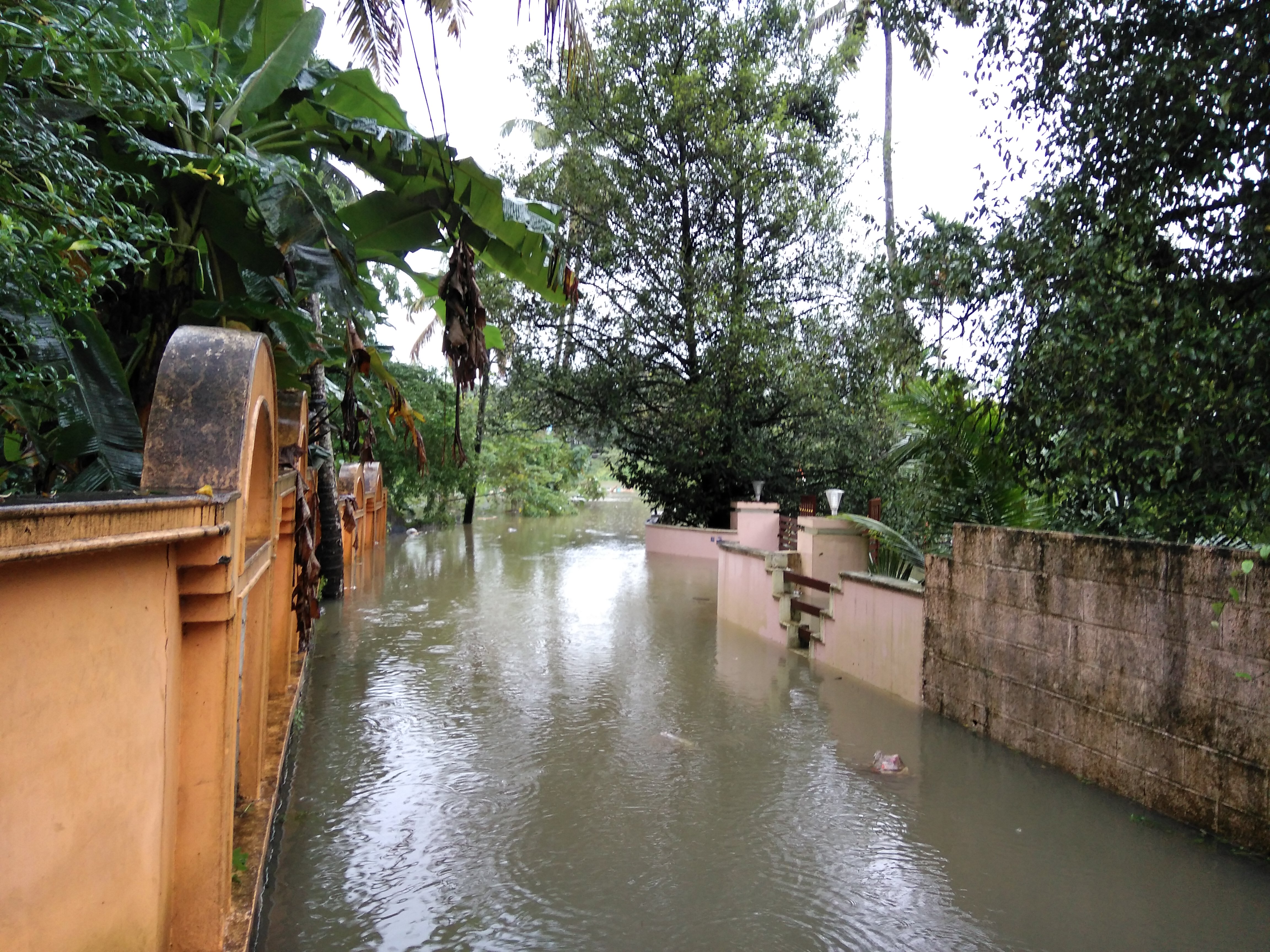 A street flooded in Kerala