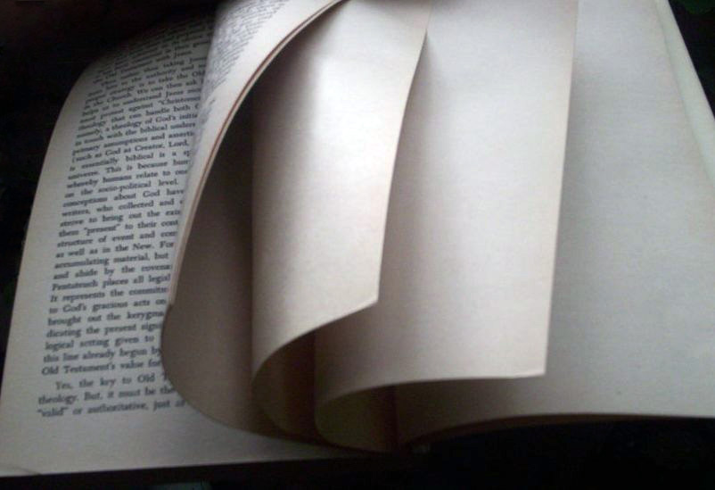 Blank page intentionally end of book.jpg