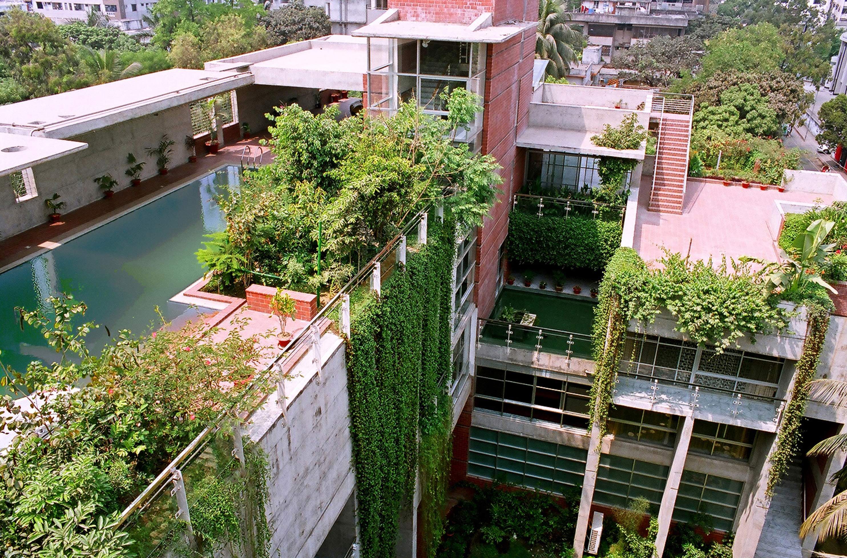 Bangladeshi rooftop garden
