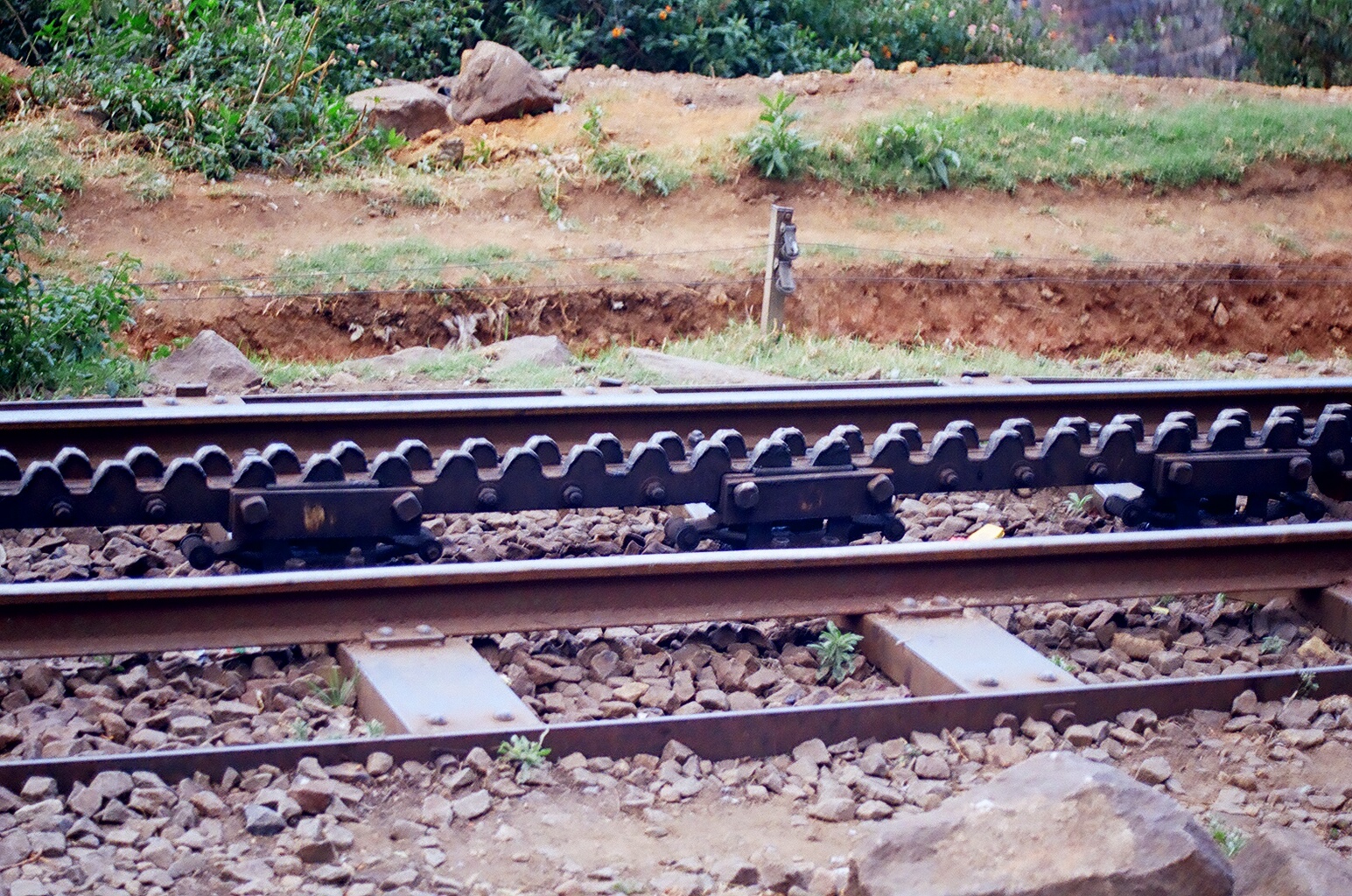 Rack seen between the two rail tracks