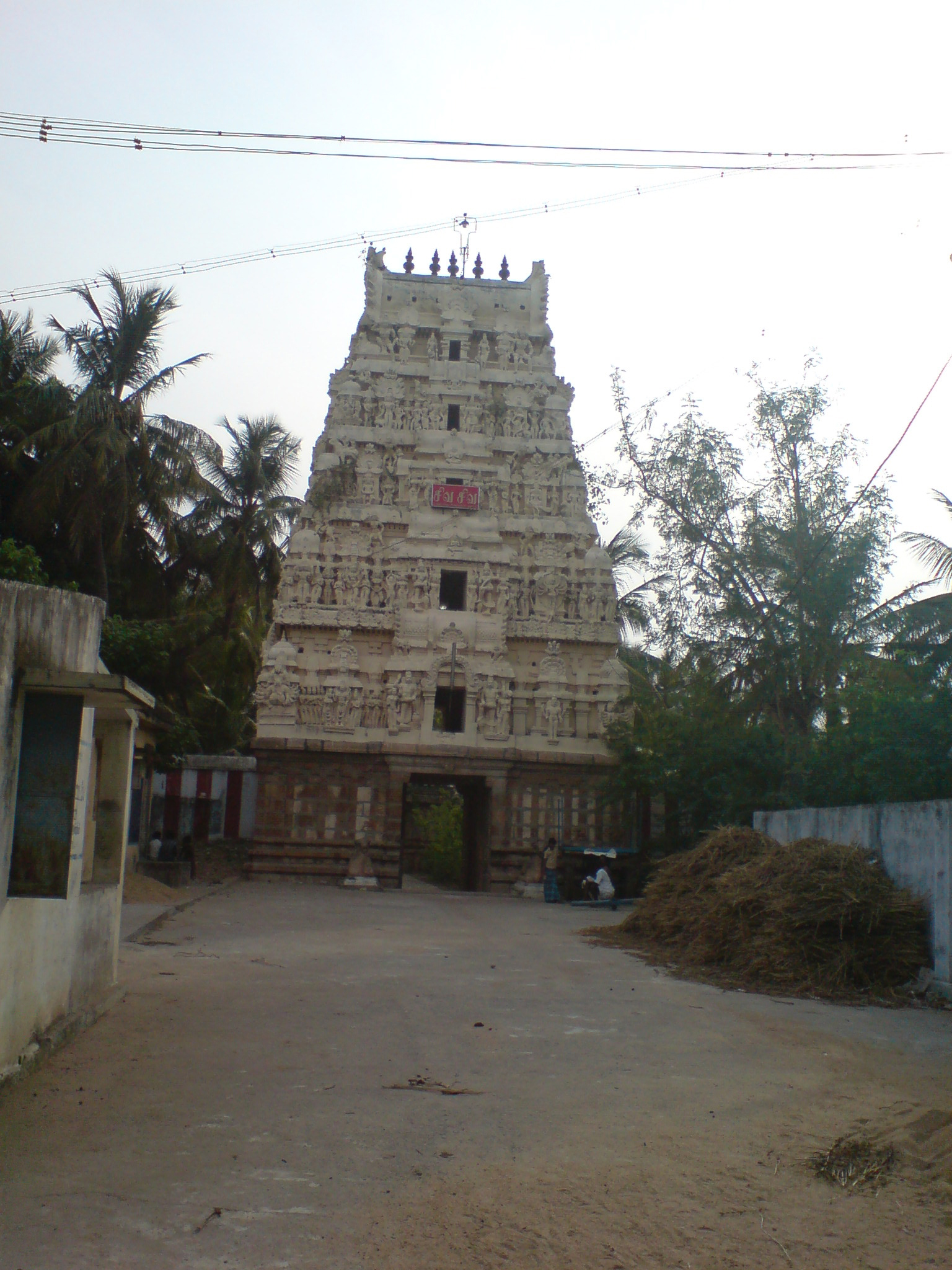Temple campus
