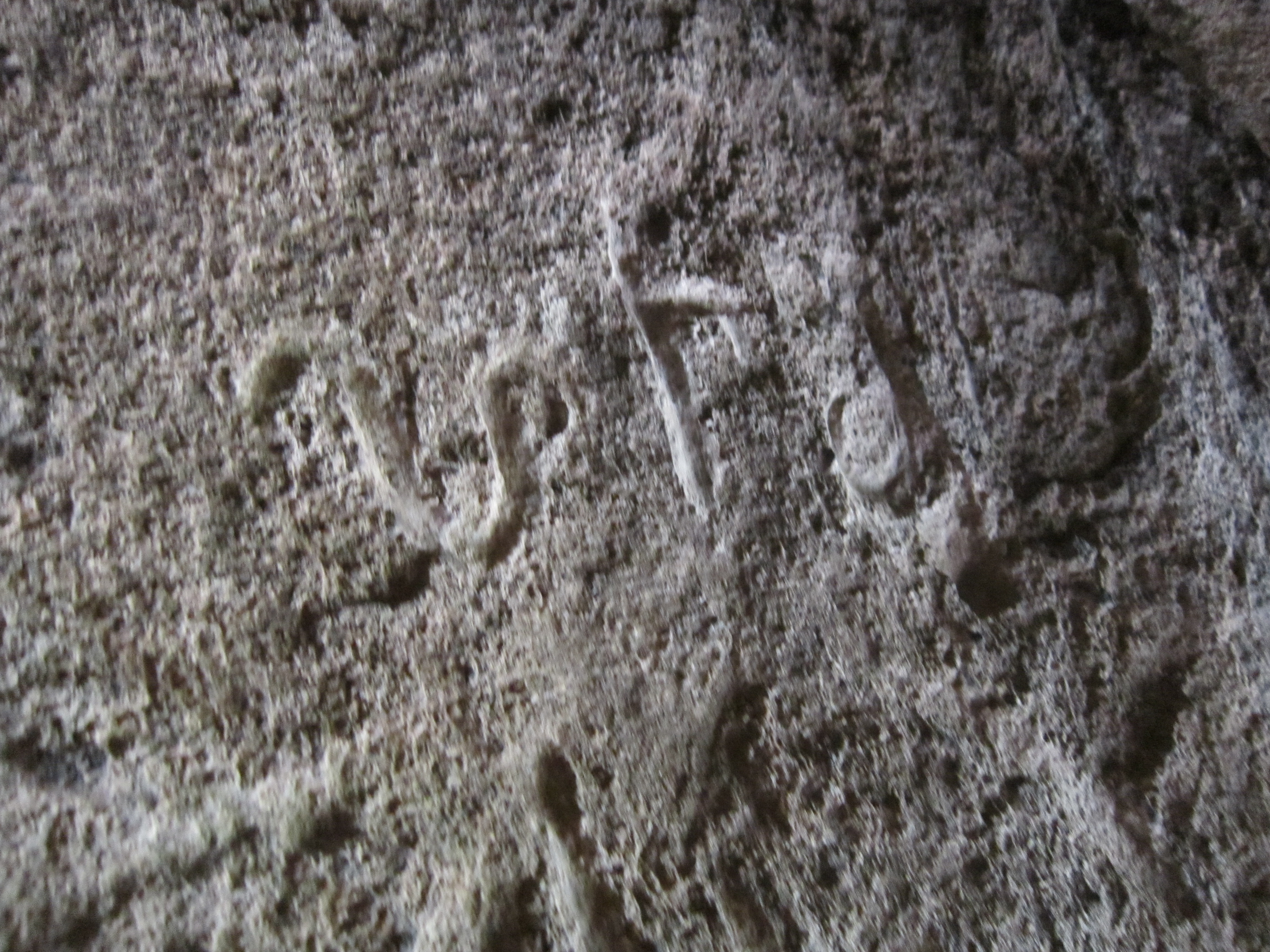 Inscription