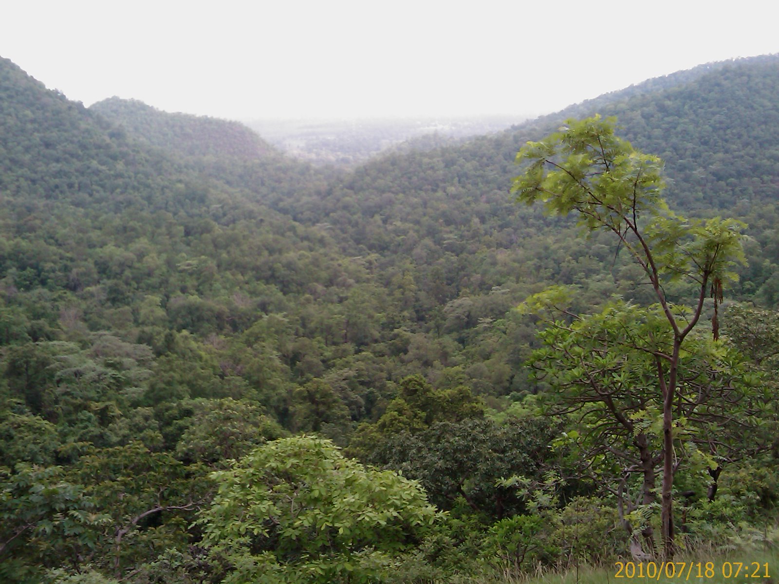 Gandhamardan hills