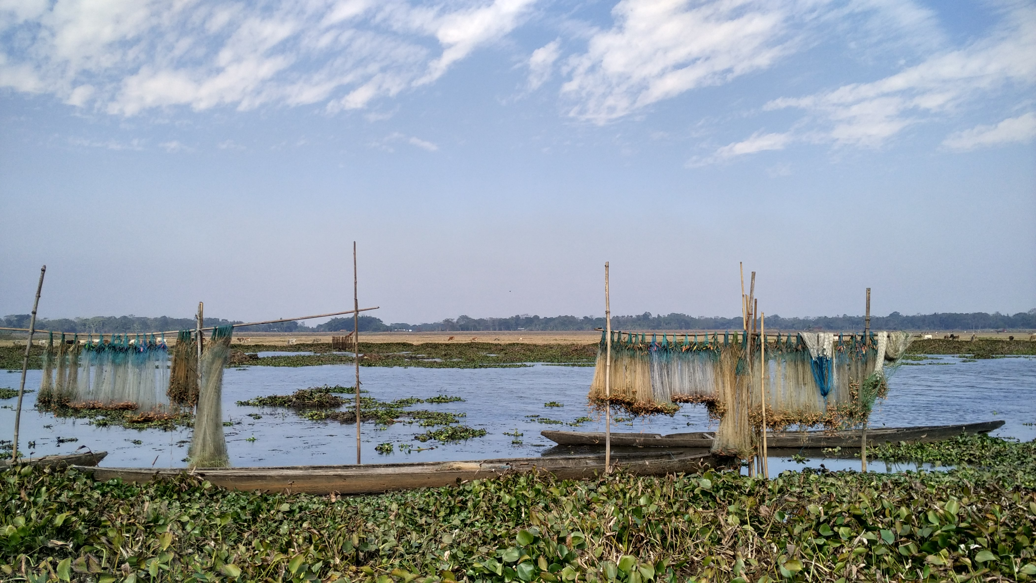 Fishing nets and boats on the Dora Beel in Kamrup district