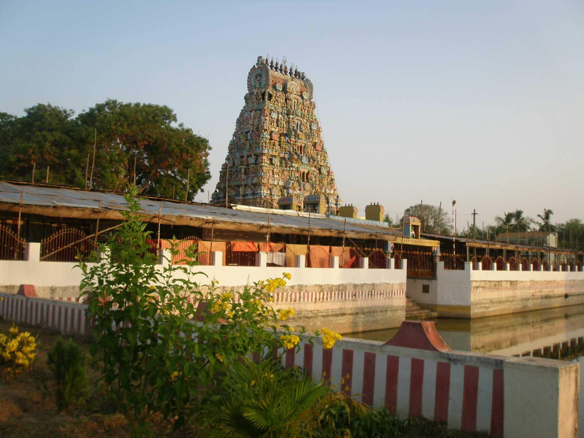 Gopuram view from Temple tank