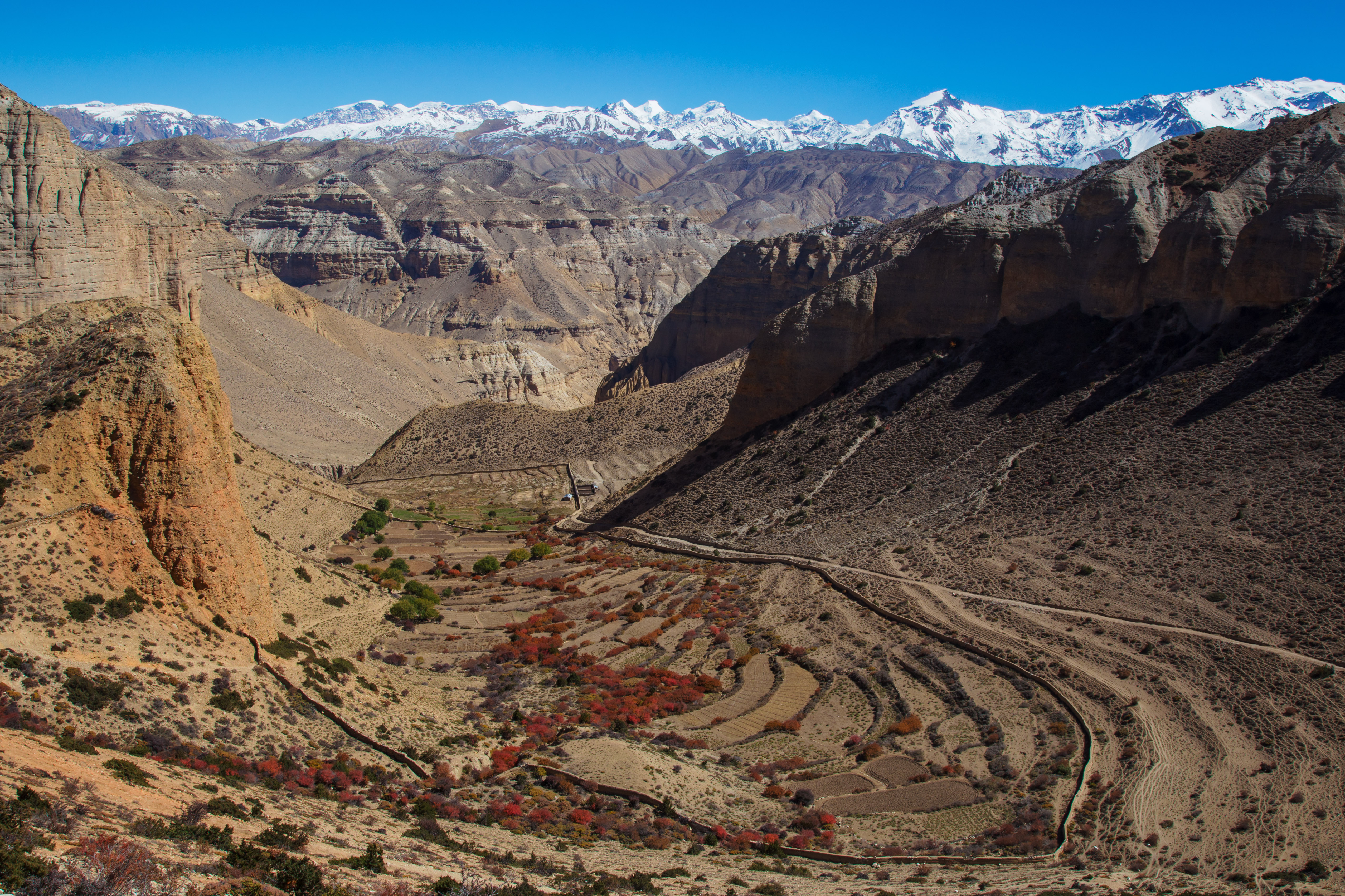 Terraced fields in the Upper Mustang region of Nepal