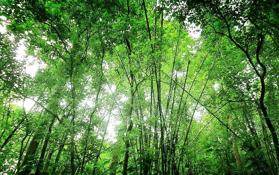 Inside Karlapat Wildlife Sanctuary