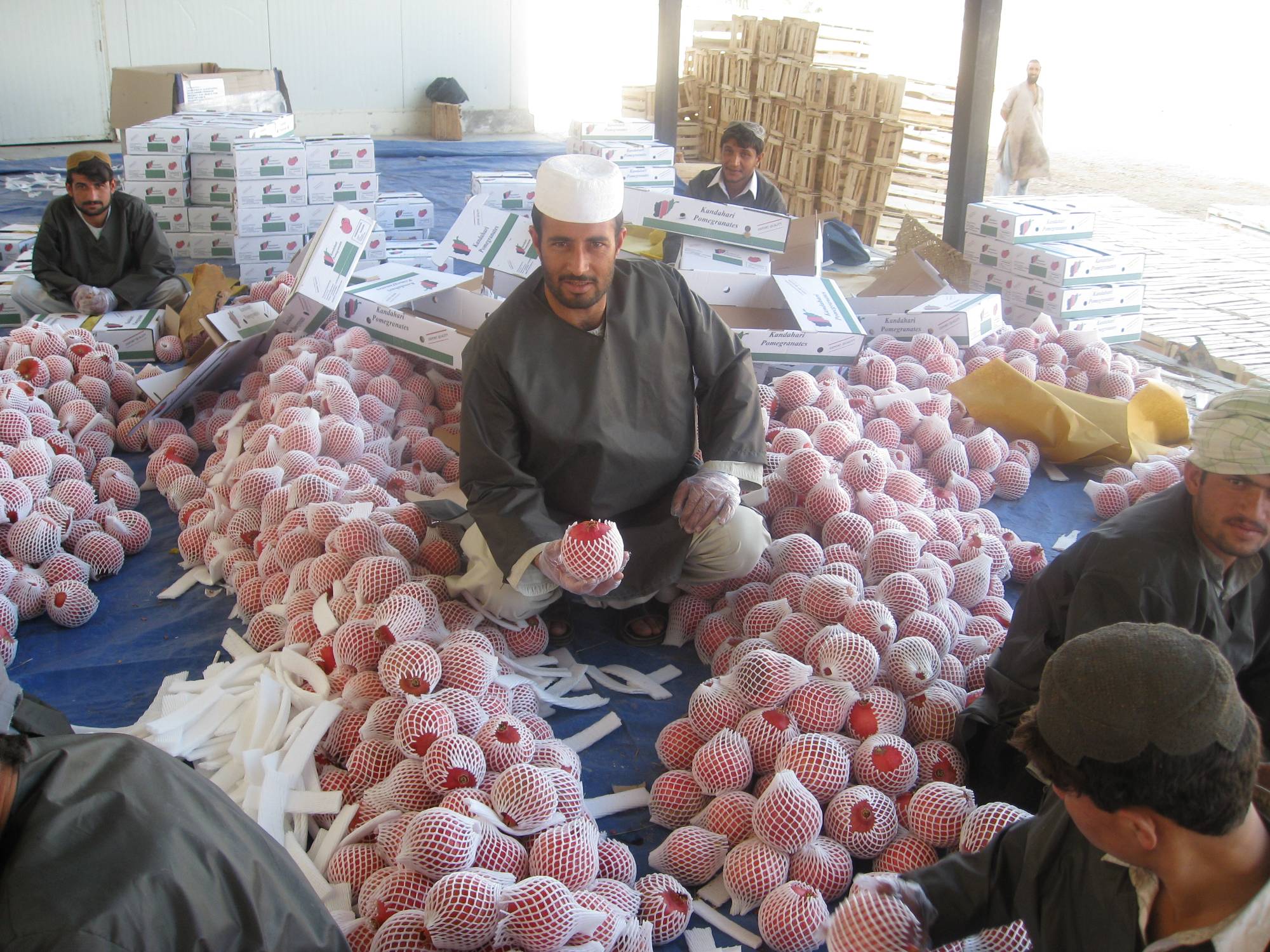 Afghan pomegranate processing.jpg