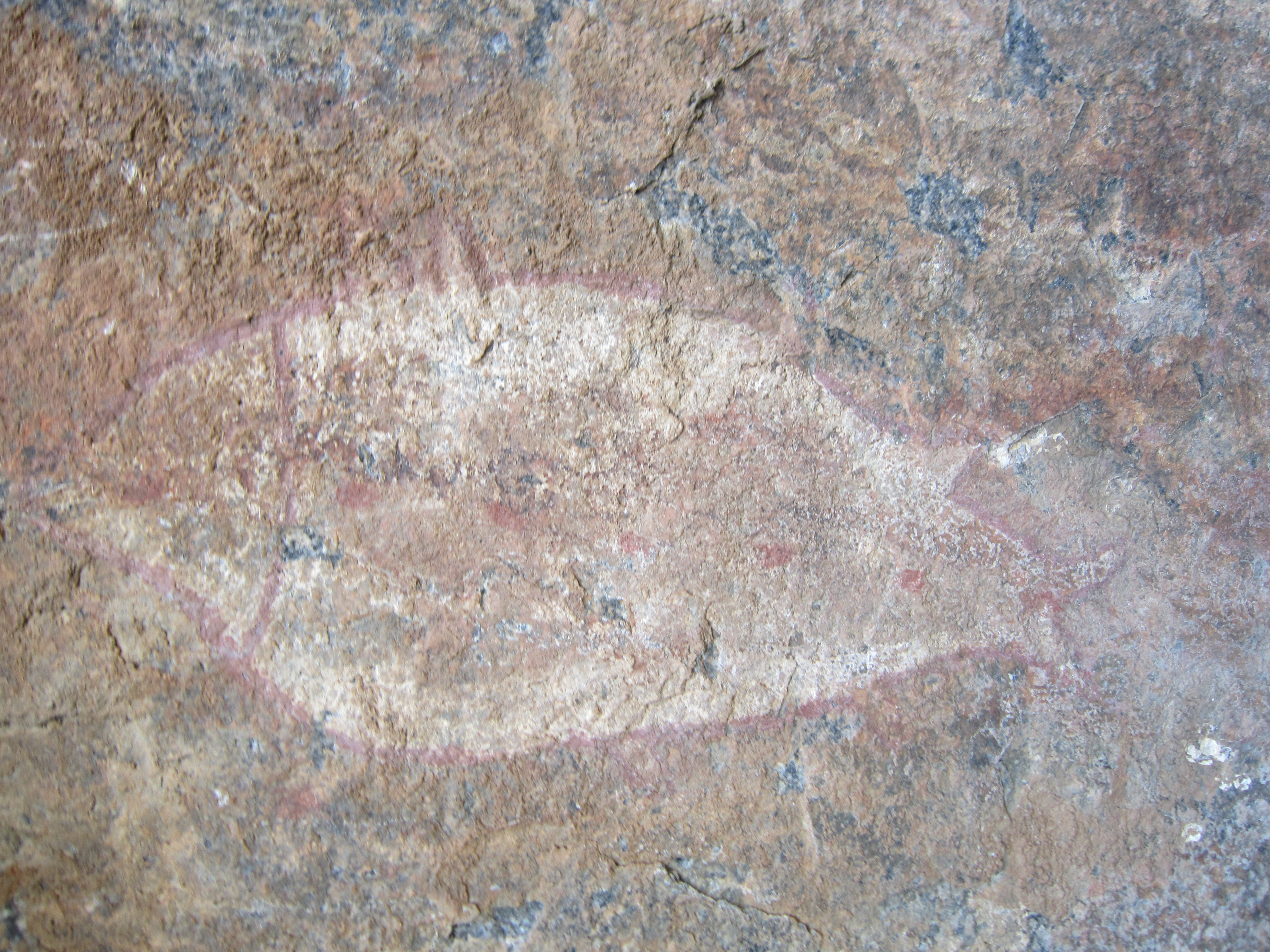Fish Painting 1