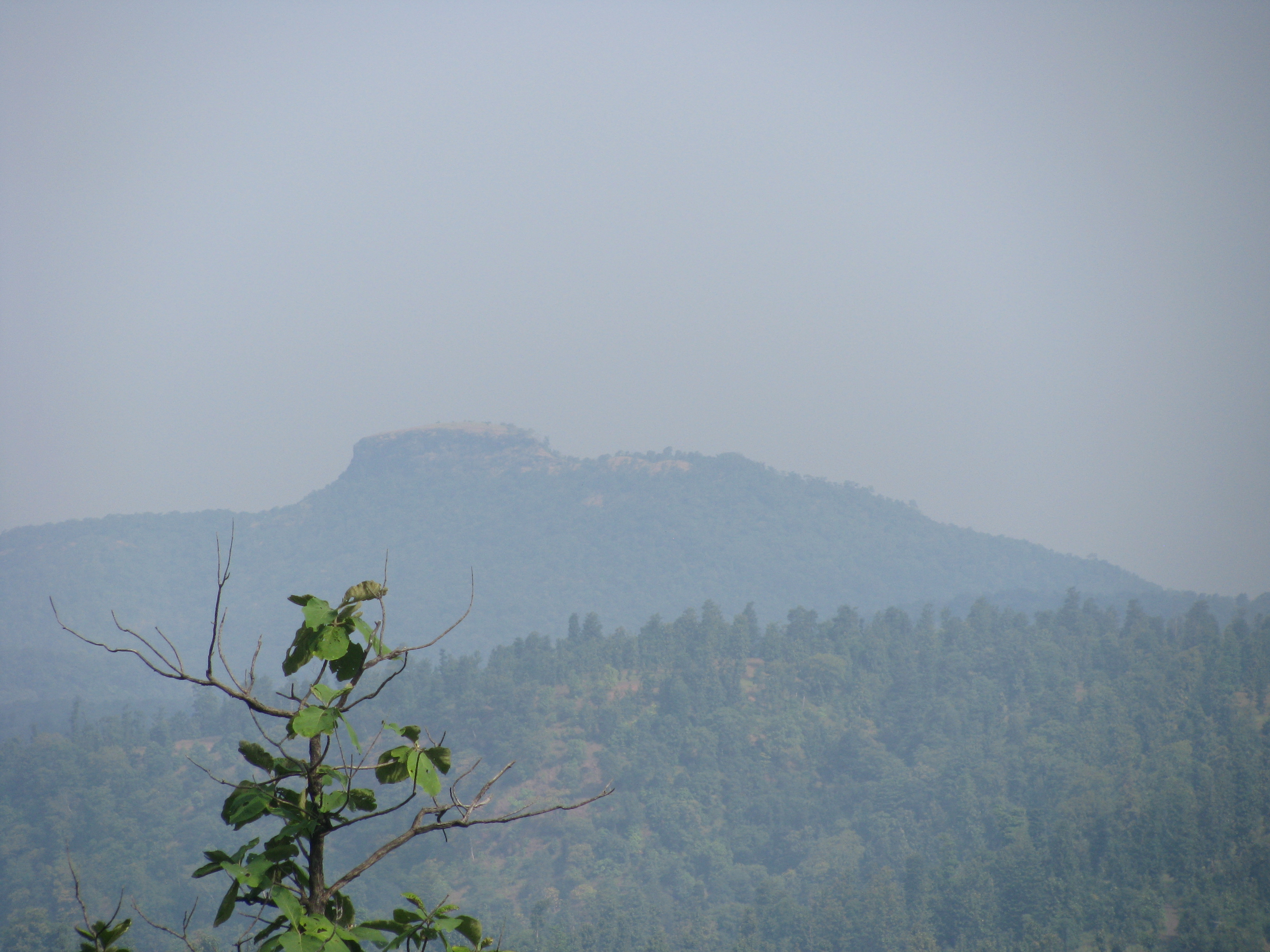 Fort from south