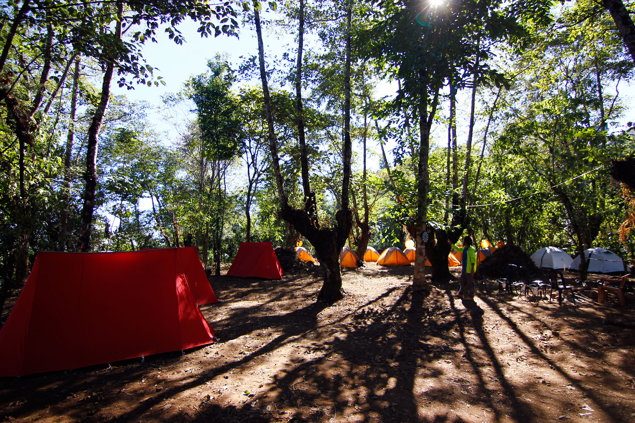 A camp site at Hornbill Festival, Kisama, Kohima, Nagaland by Camp Zongaros