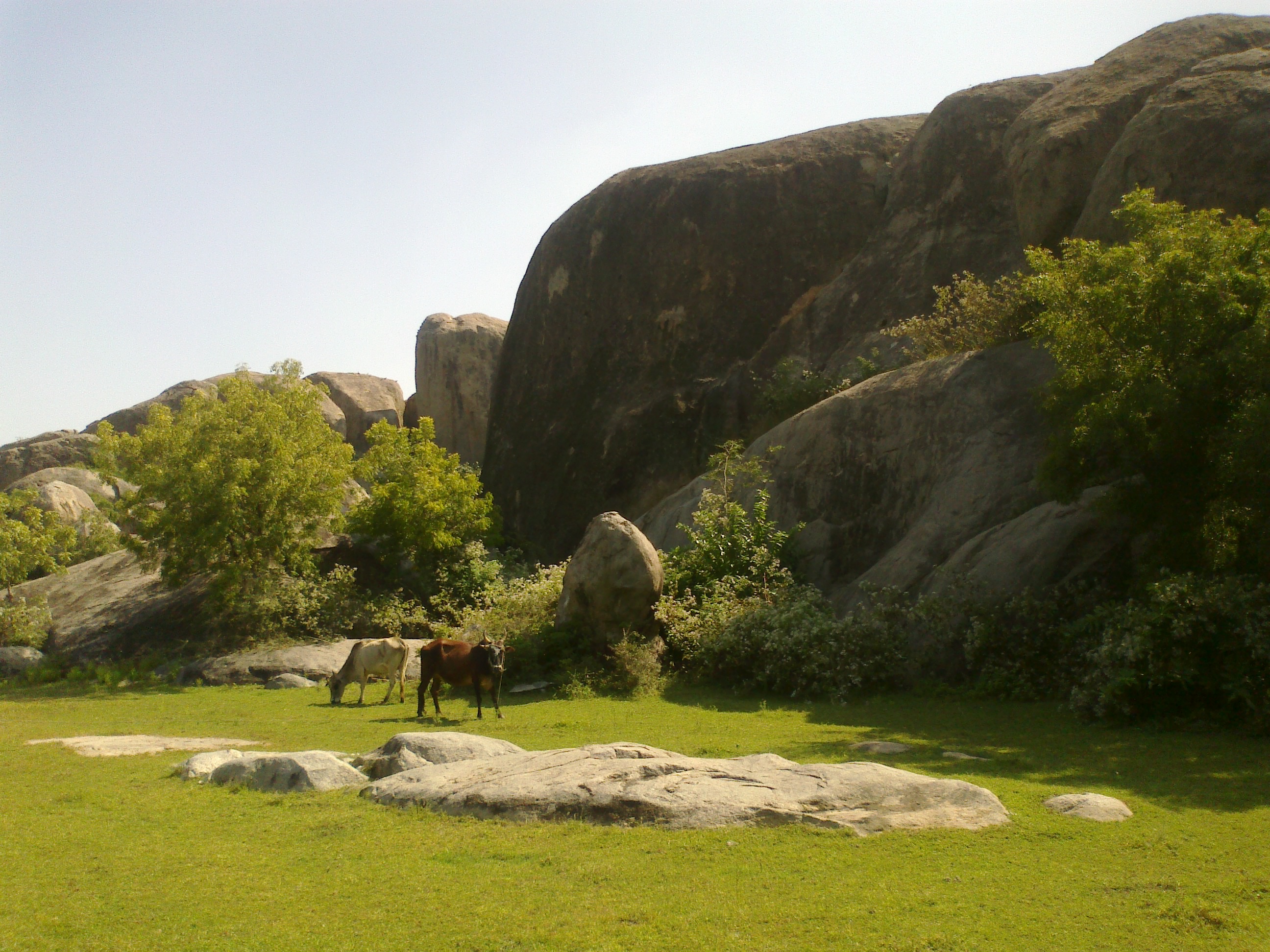 jambaimalai hillock