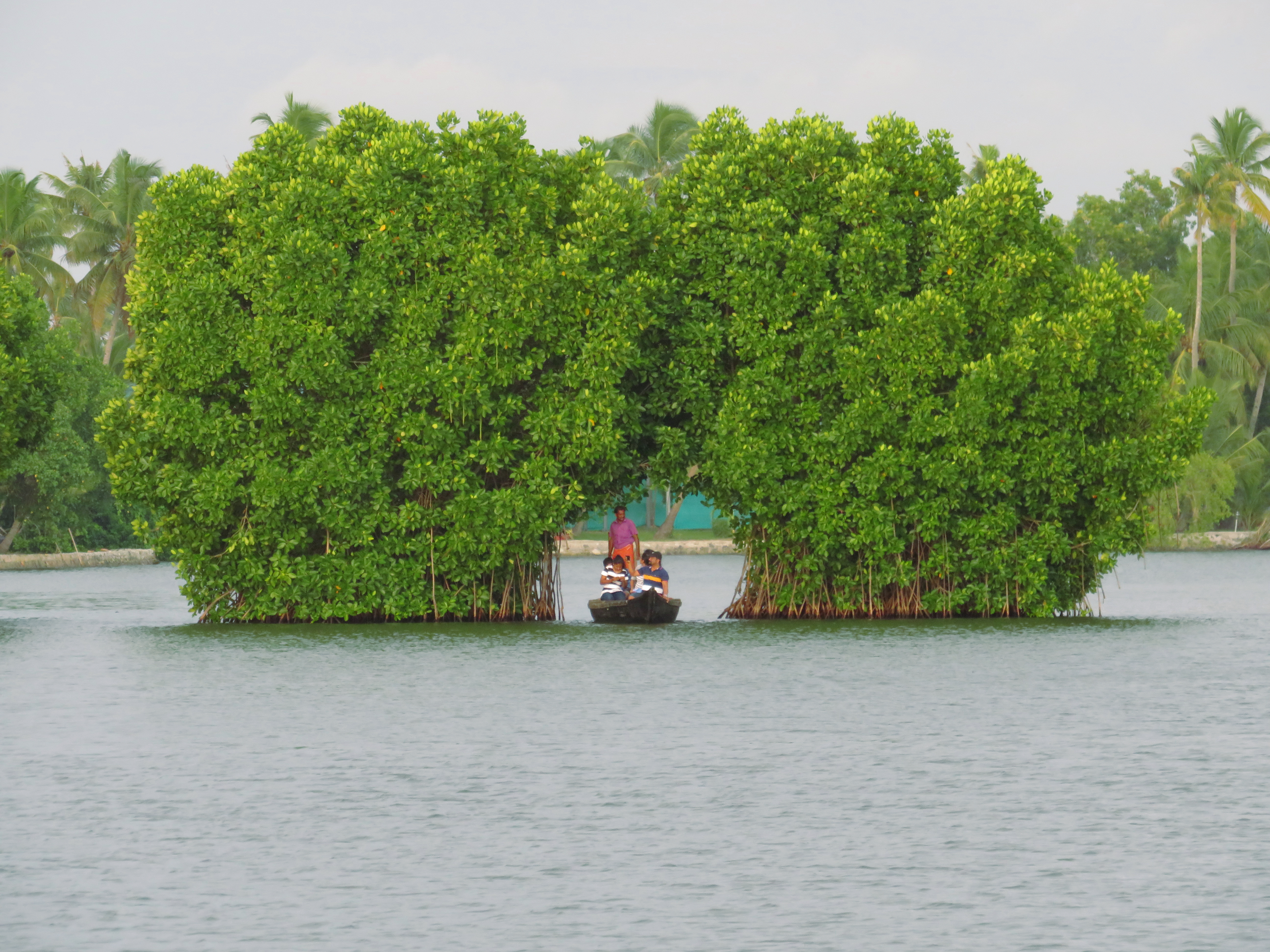 Tourism in Munroe Island