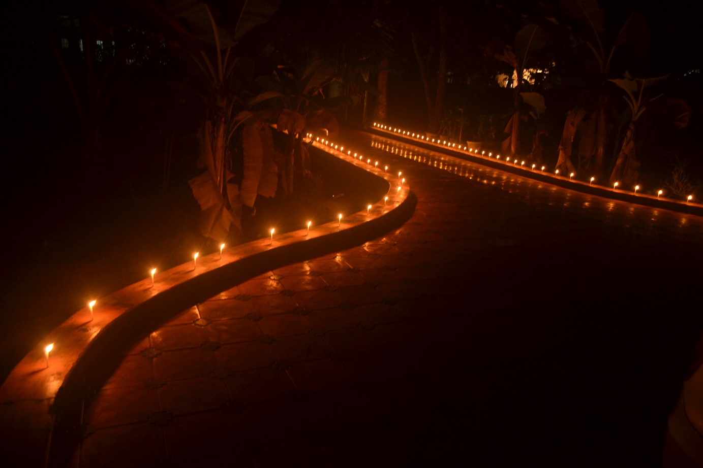 Navarathri night.jpg