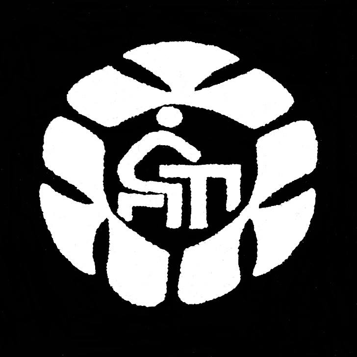 Lfshs logo.jpg