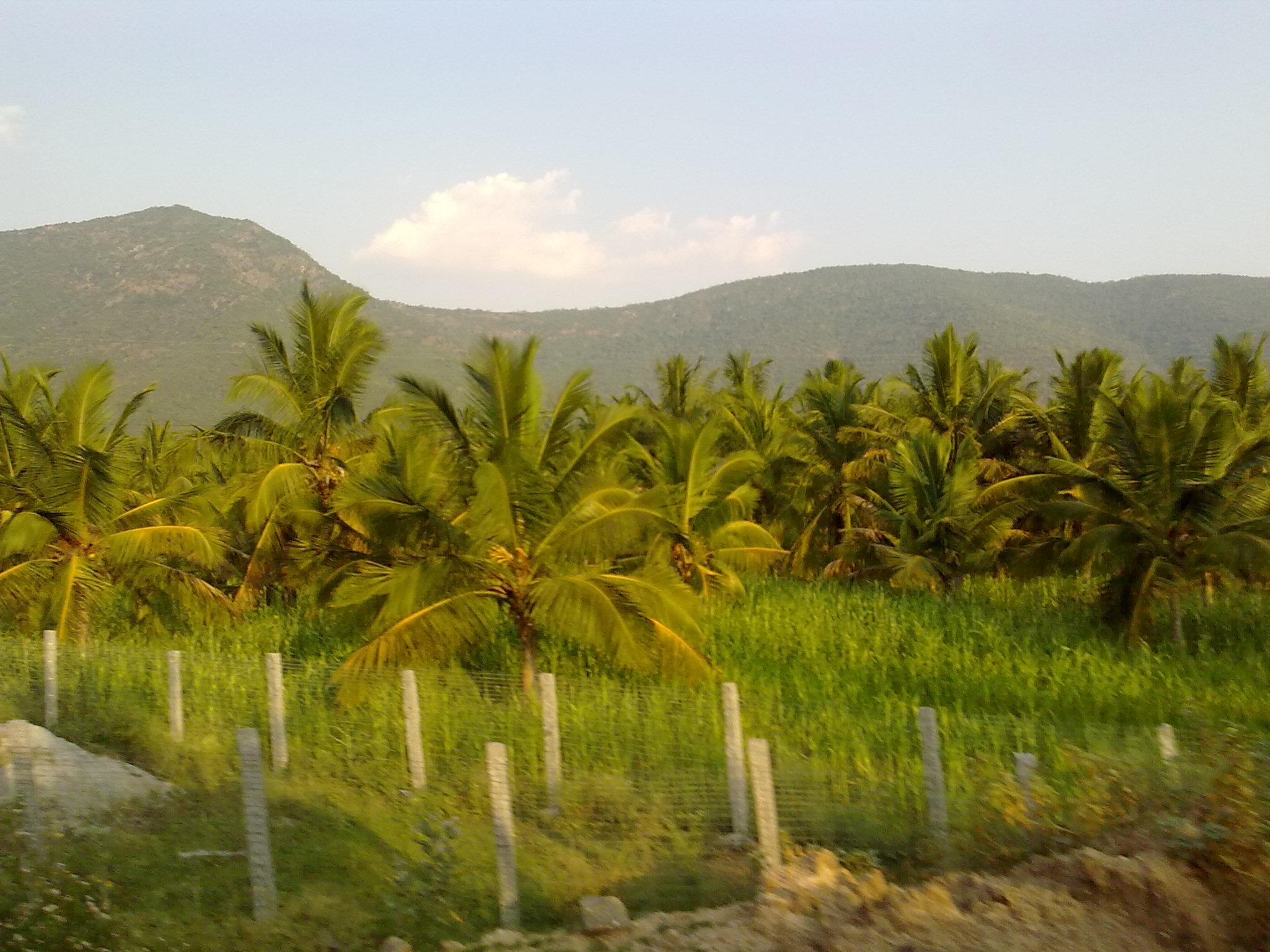 Farm Land