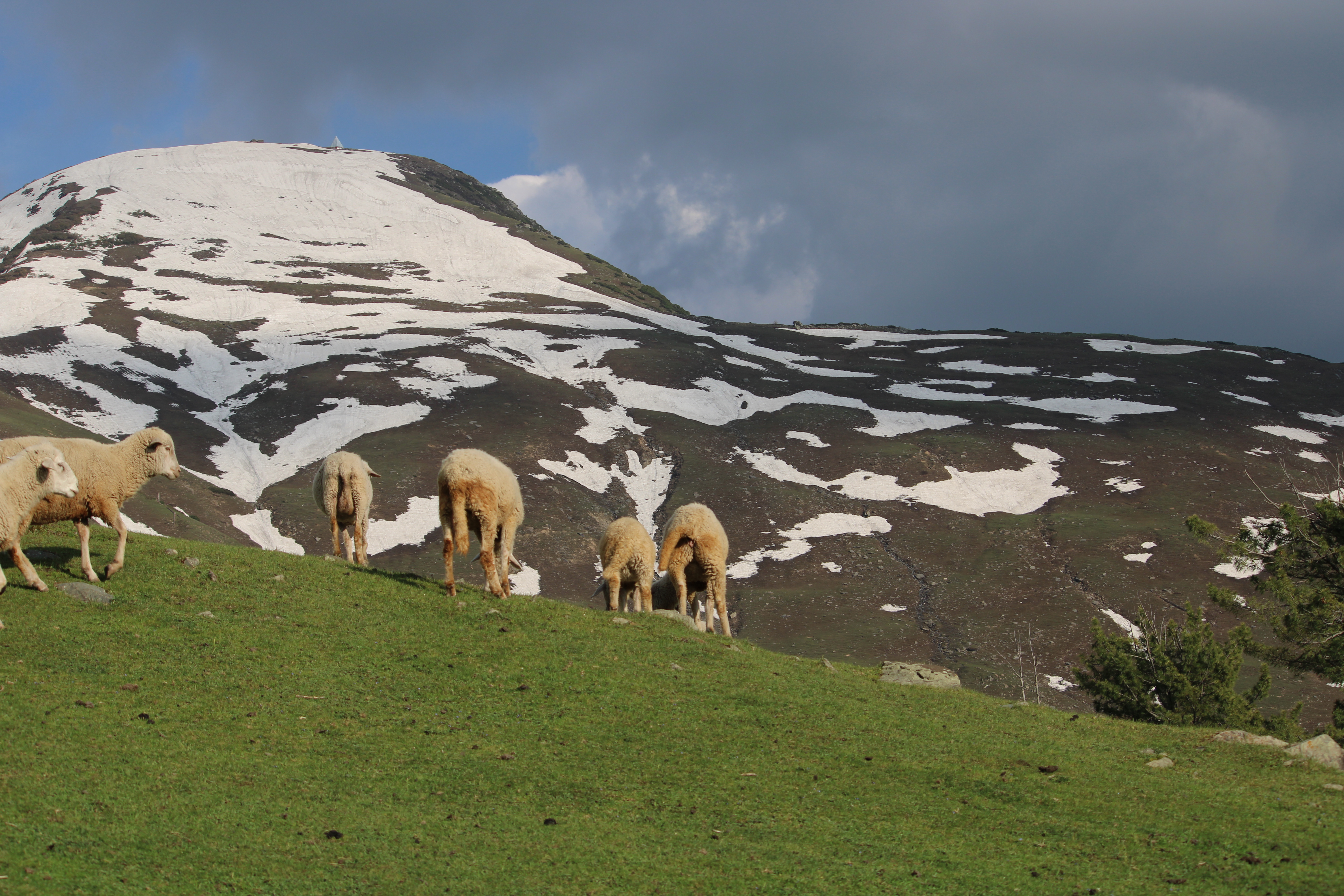 Nani Marg (Maligam)