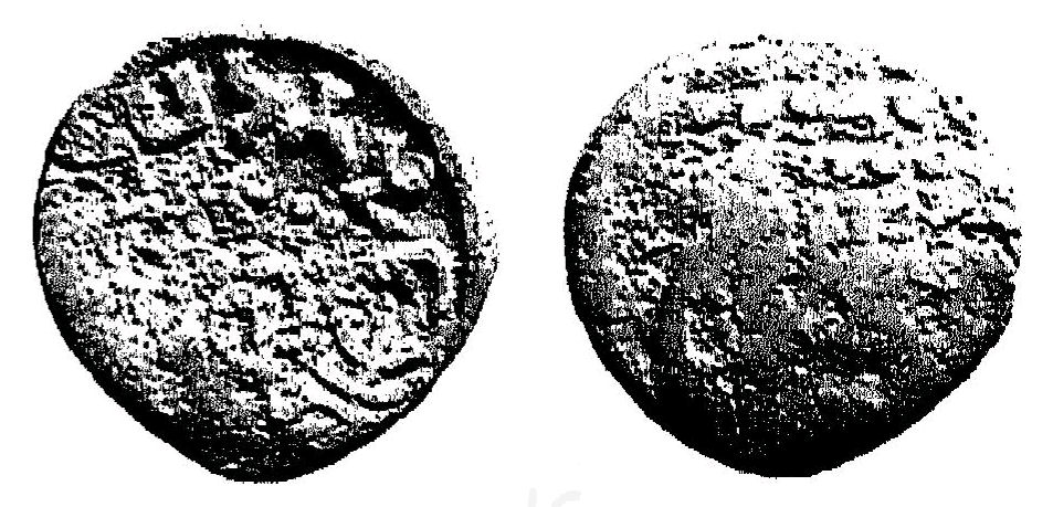 Coin of Purushadatta.