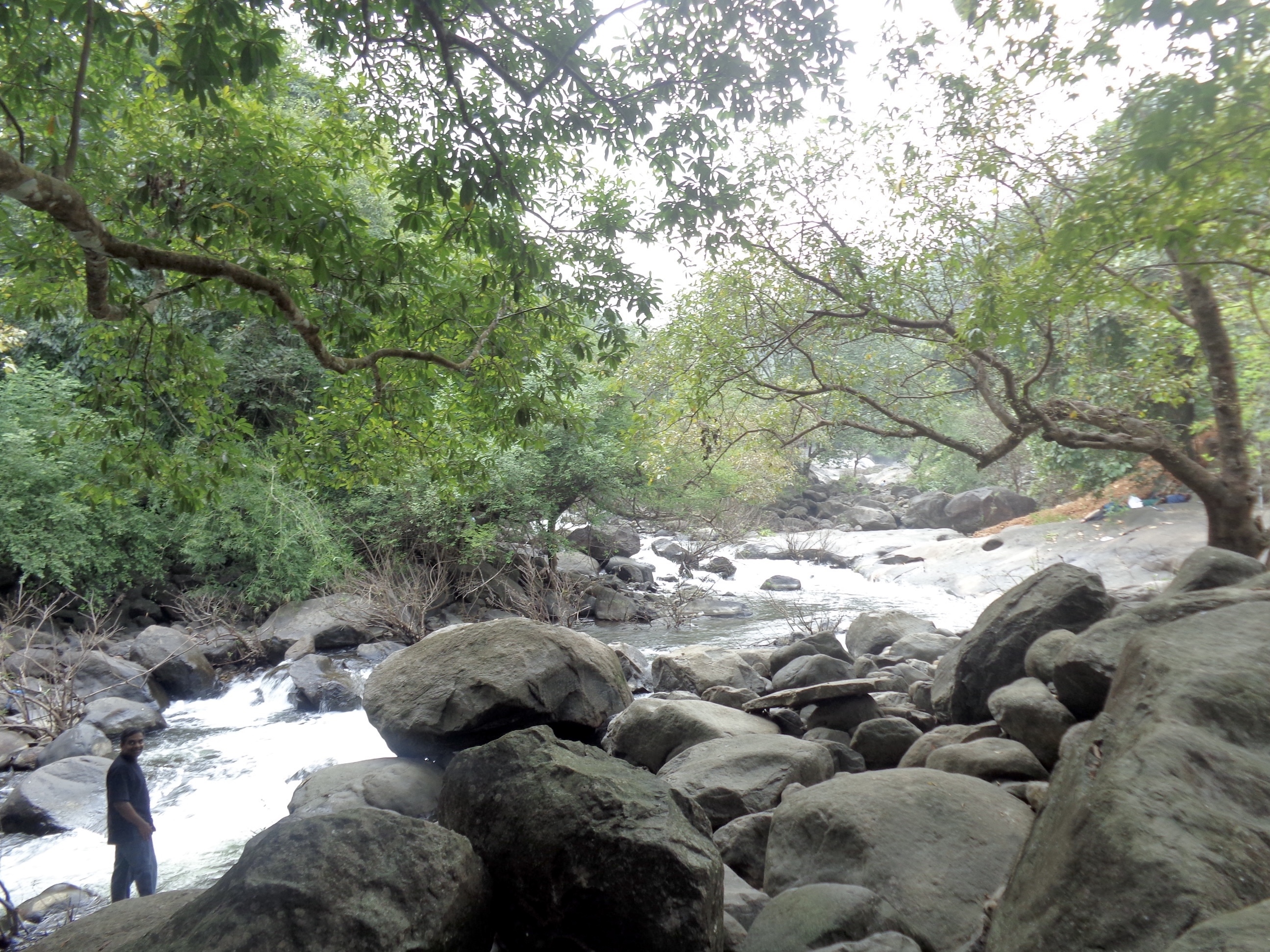 ഒരു ദൃശ്യം