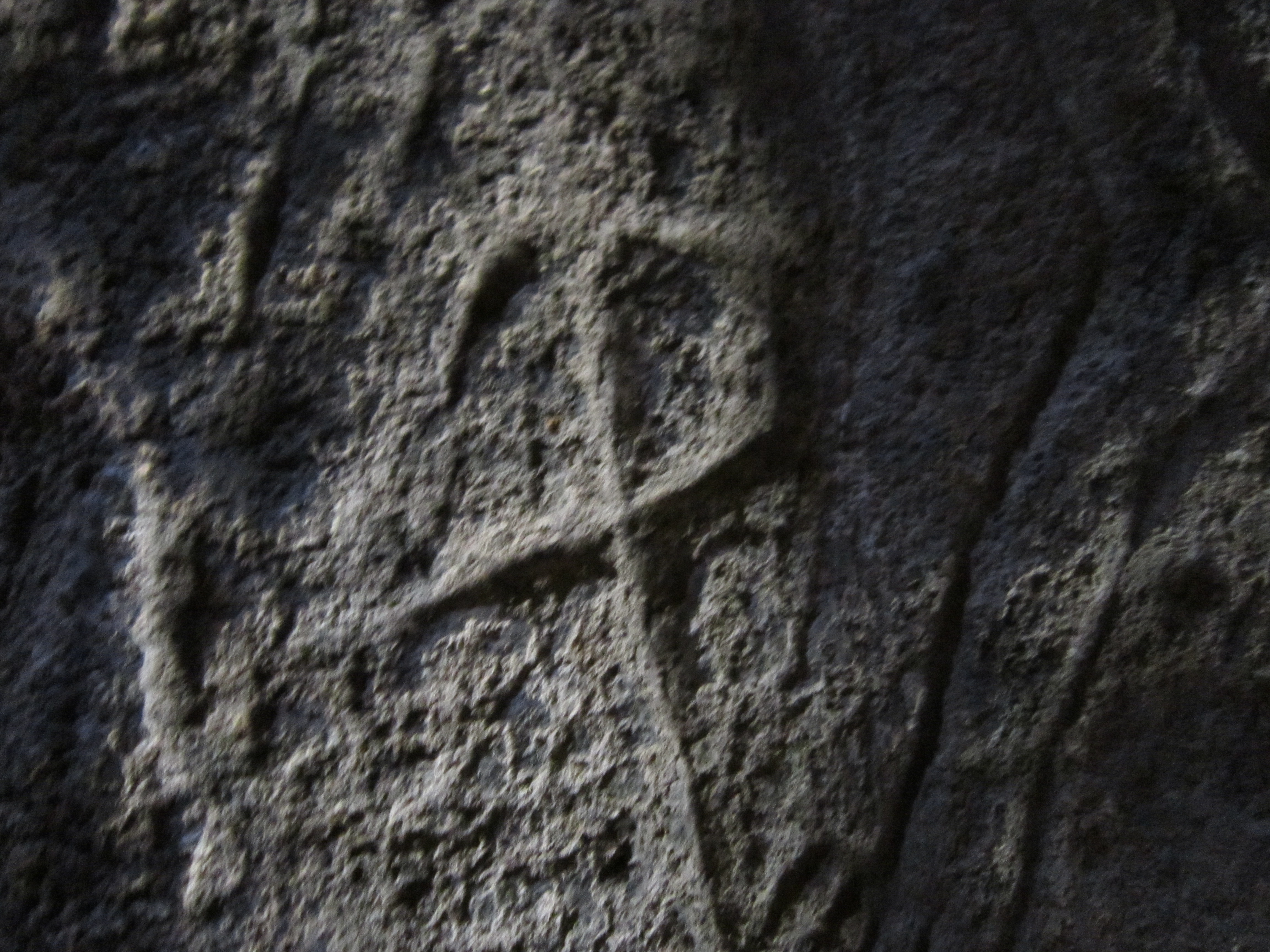Petroglyph Symbol 1