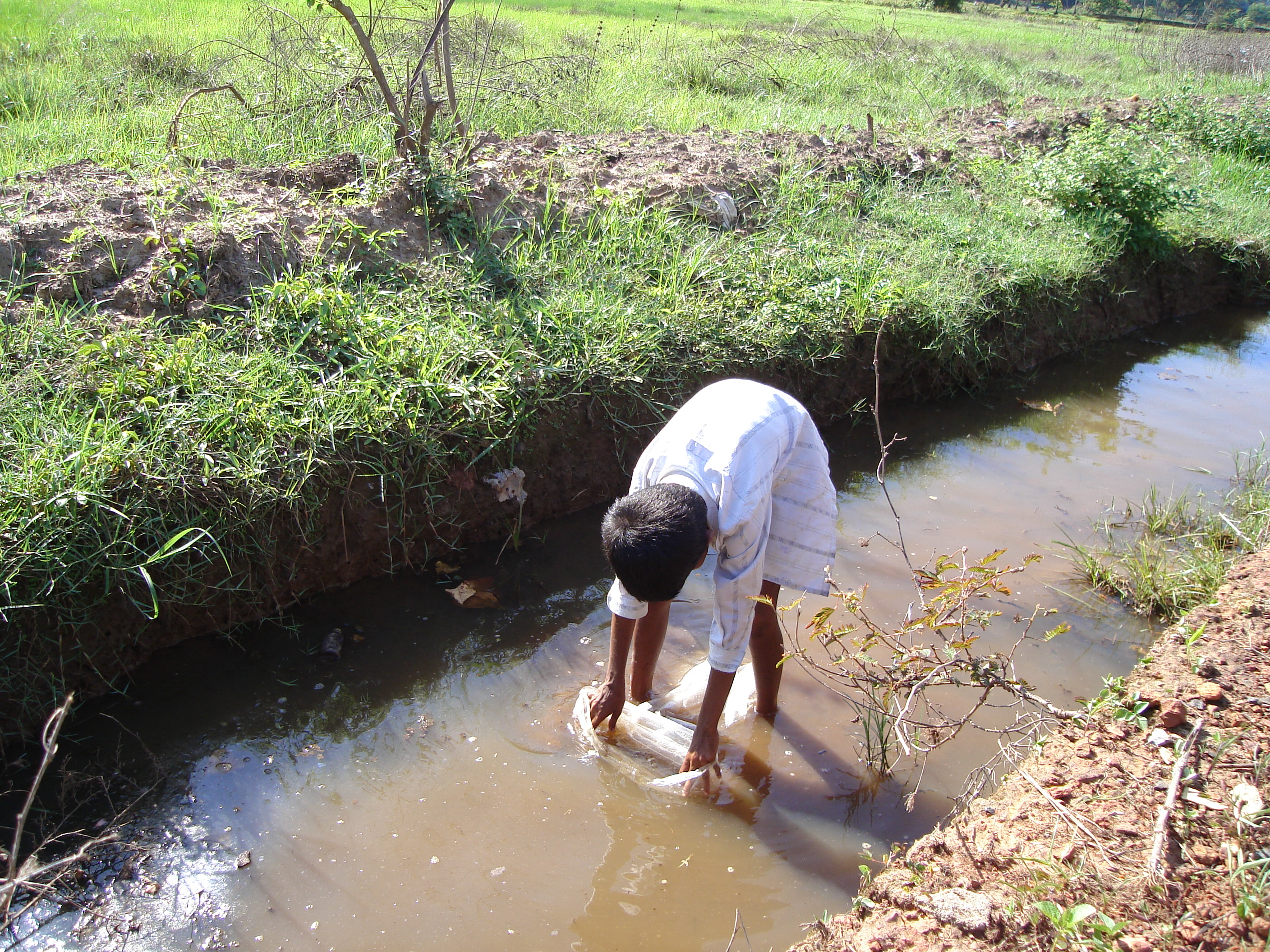 Stream in or near village Goa.