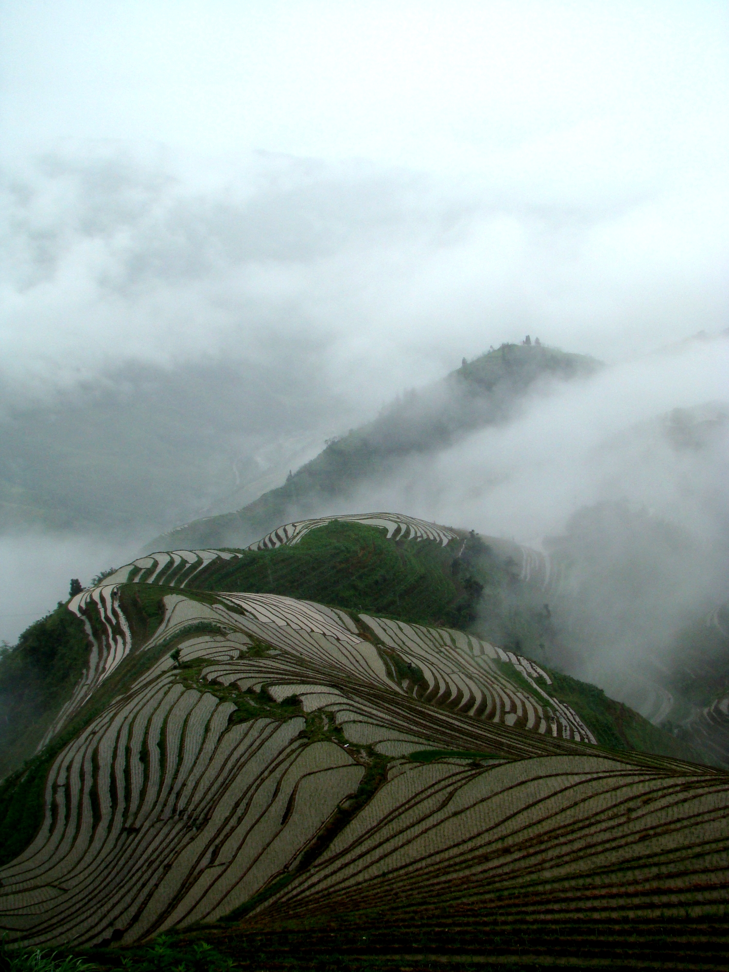 Longsheng Rice Terrace in Longsheng county, Guangxi Province, southern China.