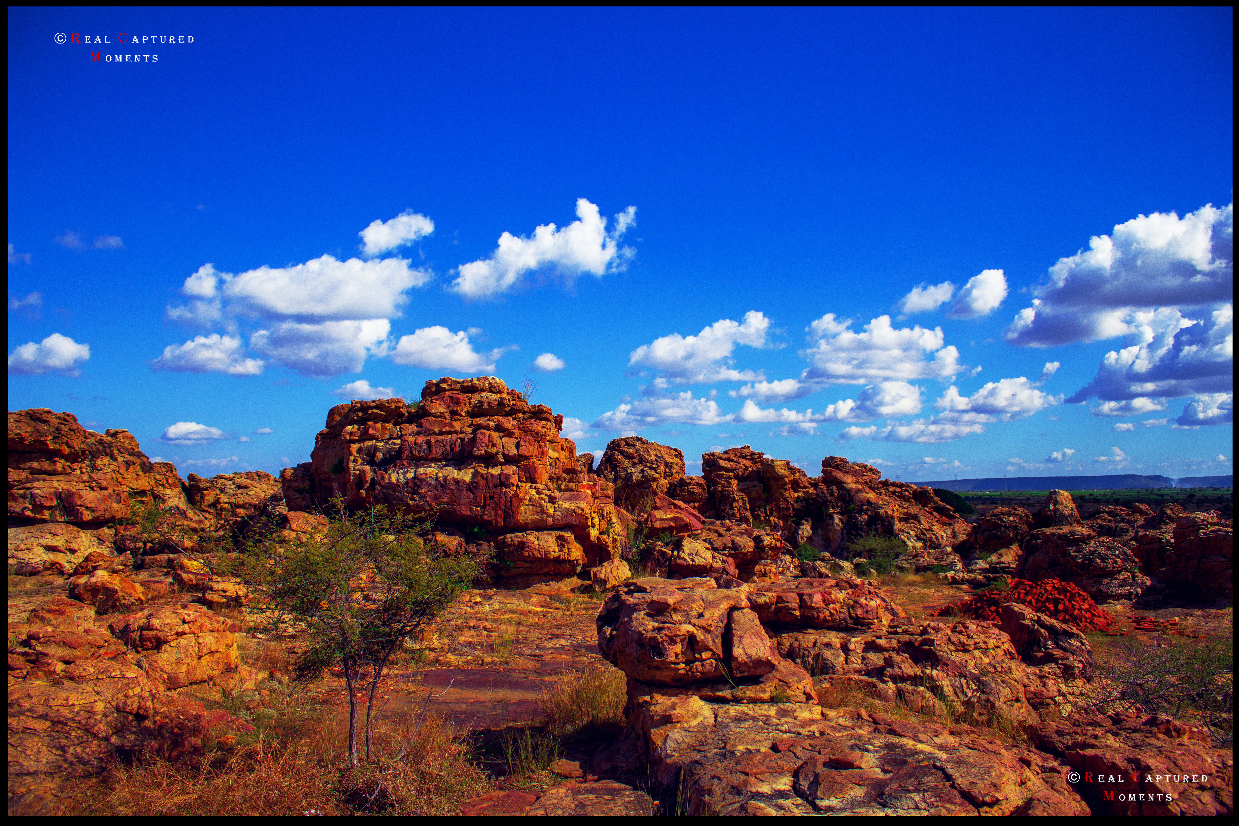 Orvakal Rock Gardens