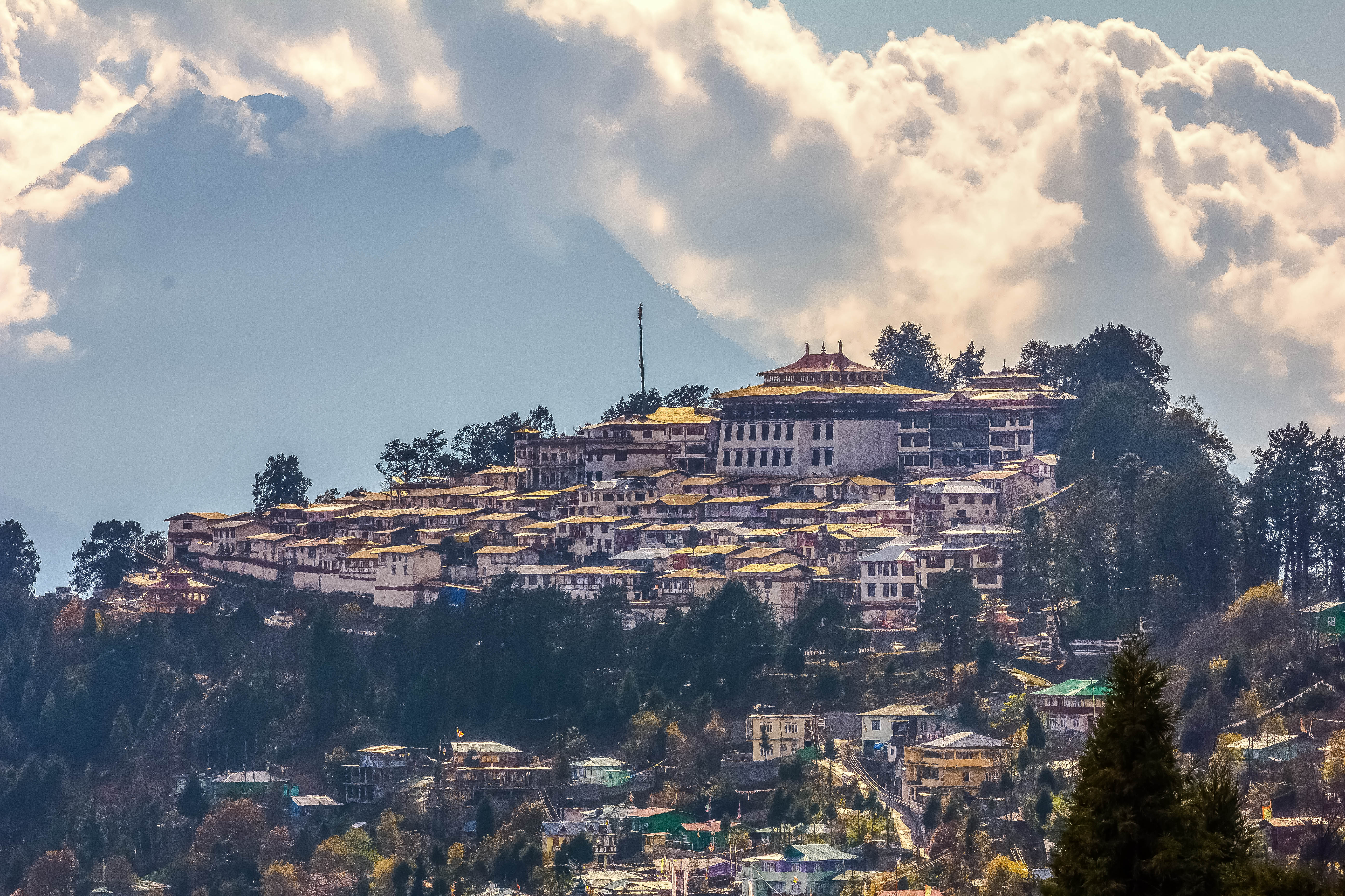 The Tawang Monastery.jpg