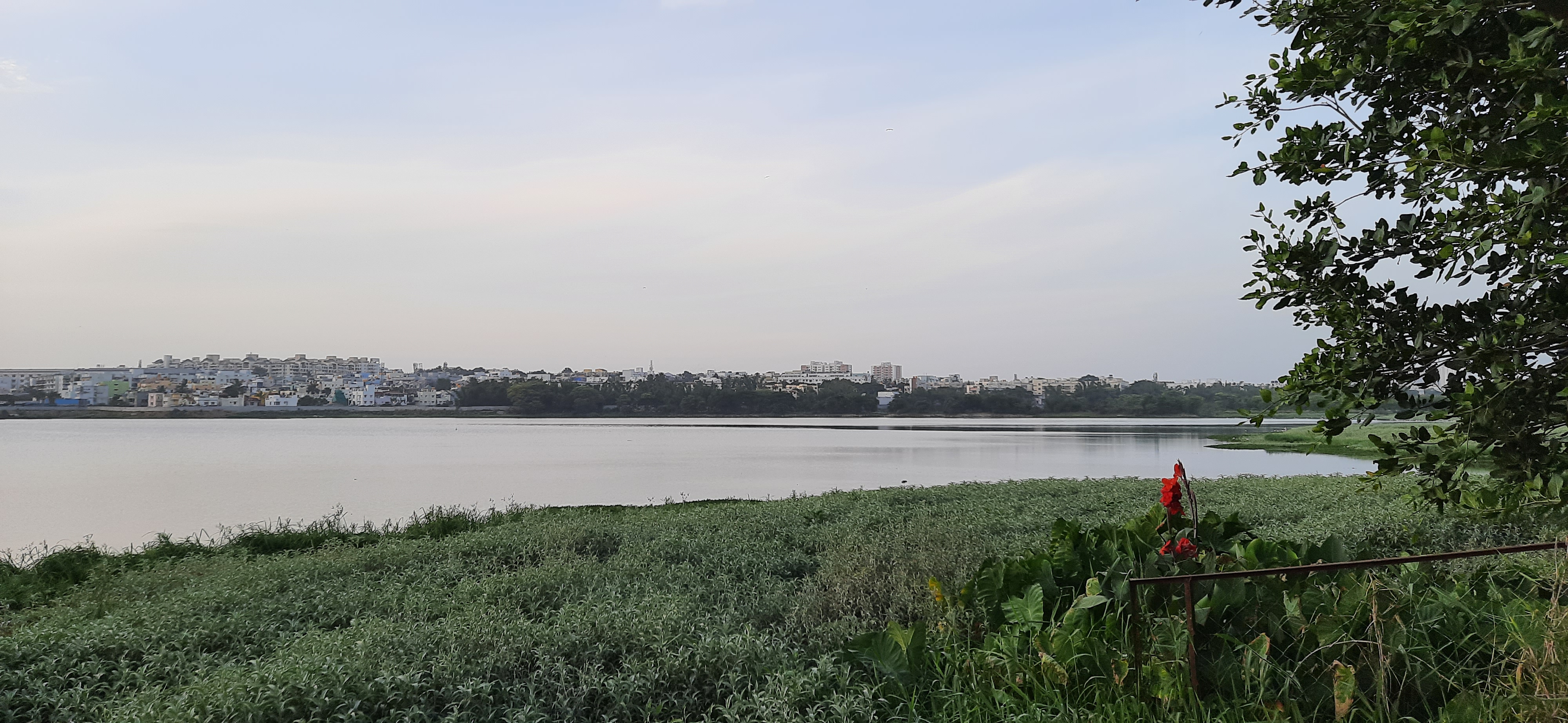Madiwala Lake BTM Layout