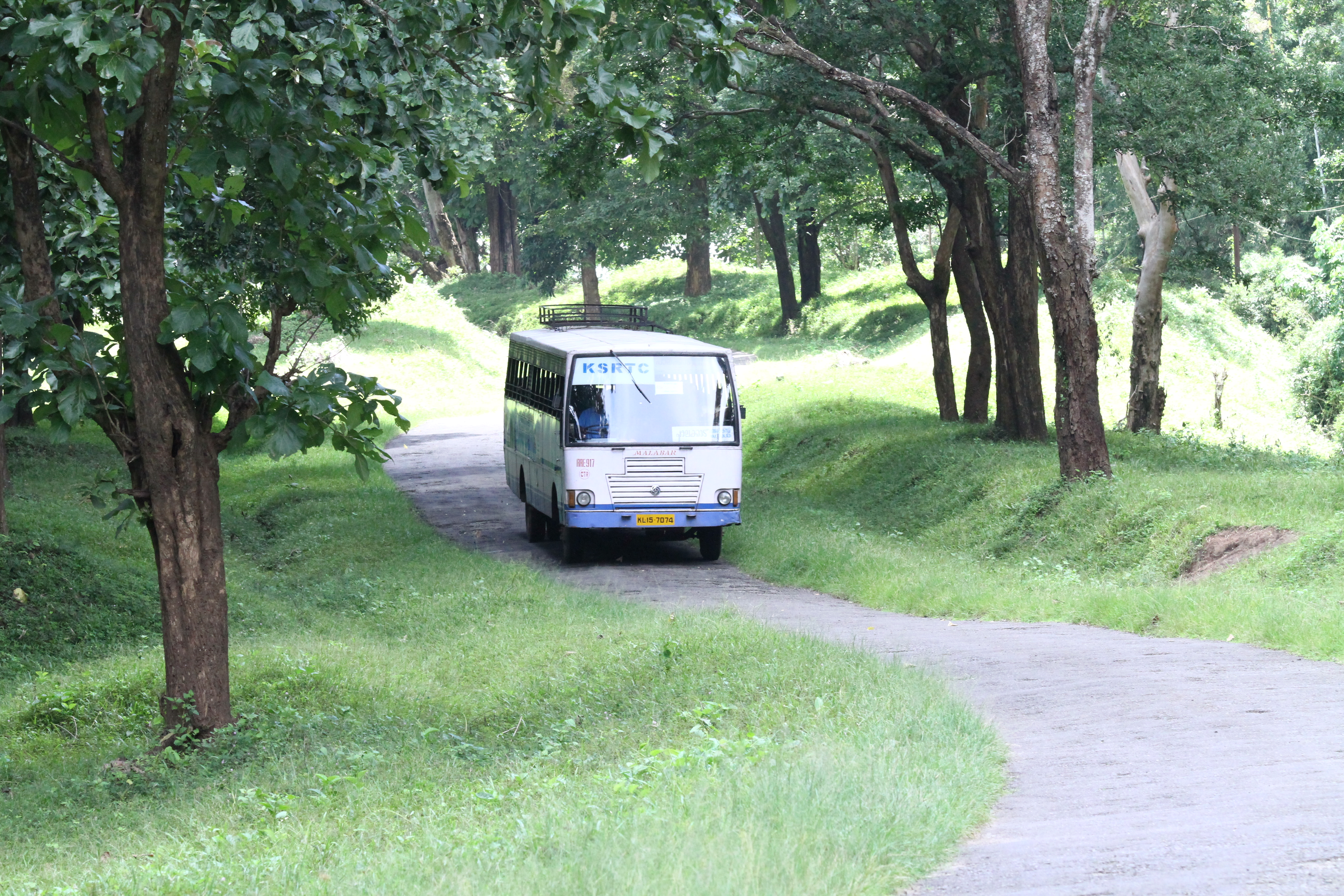 Small bus on a narrow road