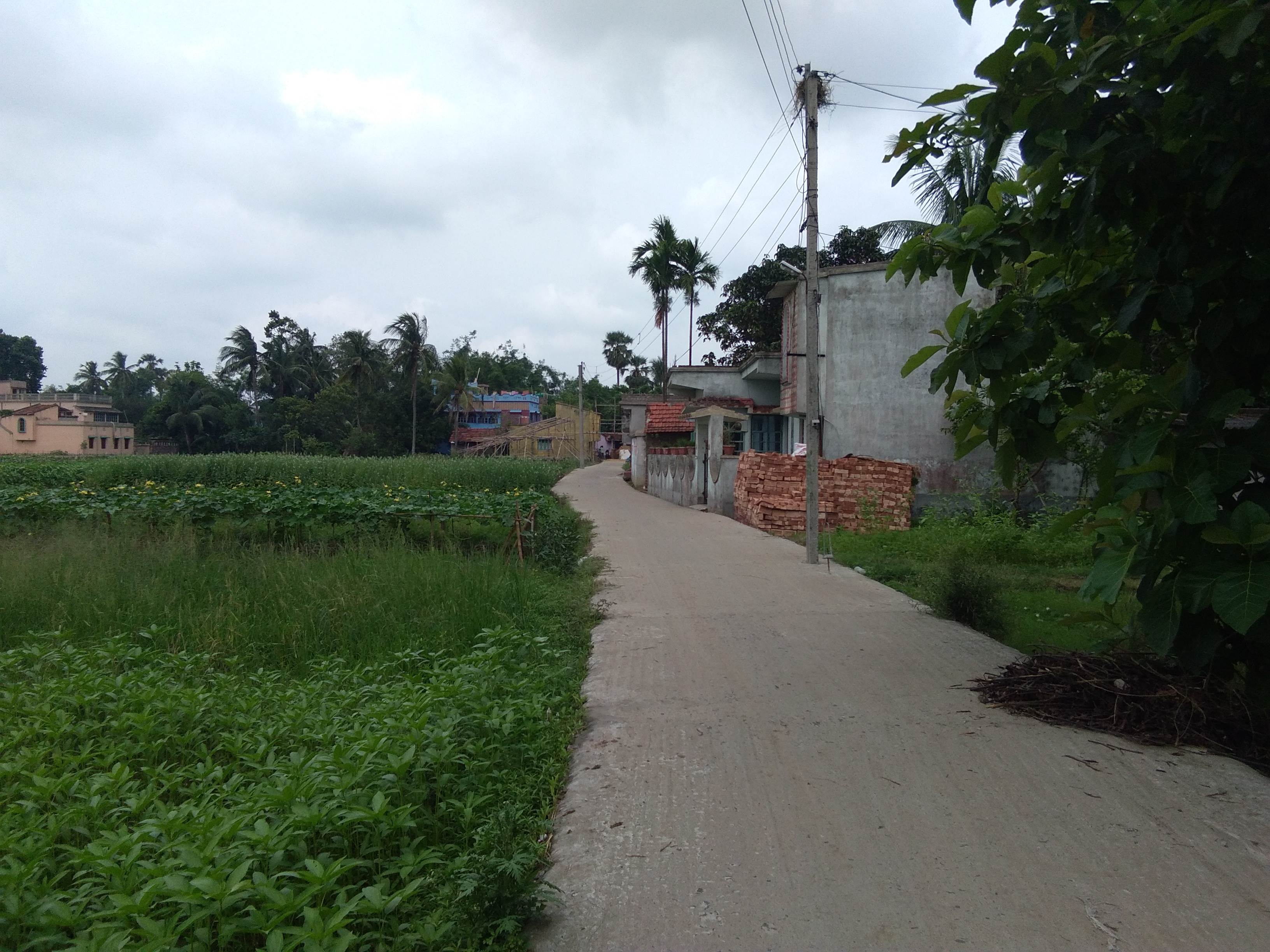 Gangadharpur Street View