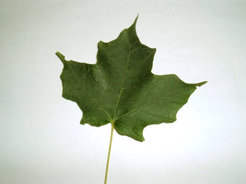 Thumbnail for version as of 01:09, 22 September 2006