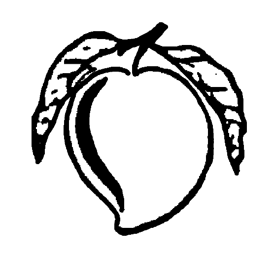 Indian Election Symbol Mango.png